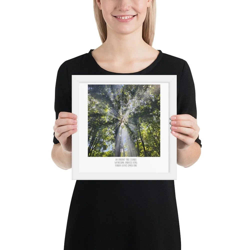 Poster - Smoke In the Trees