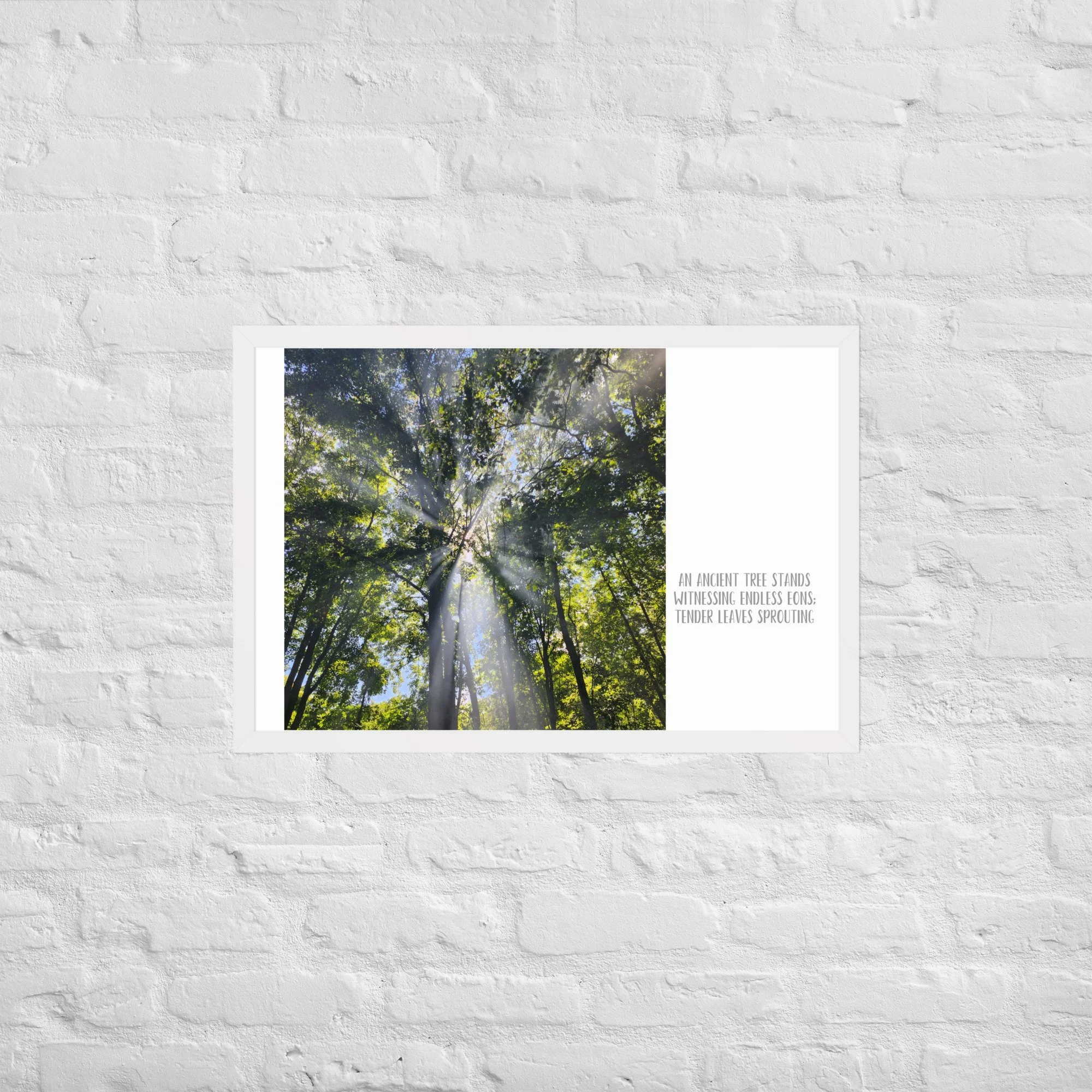 Poster - Smoke In the Trees