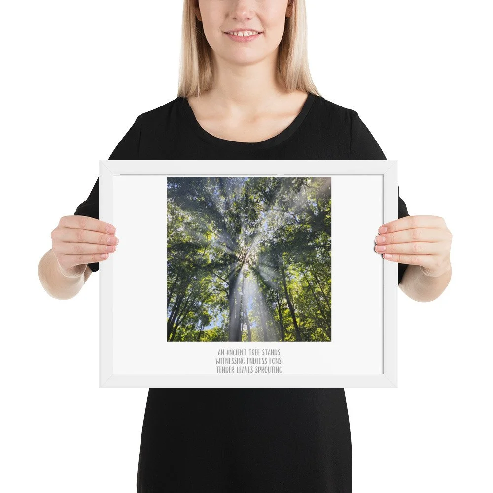 Poster - Smoke In the Trees