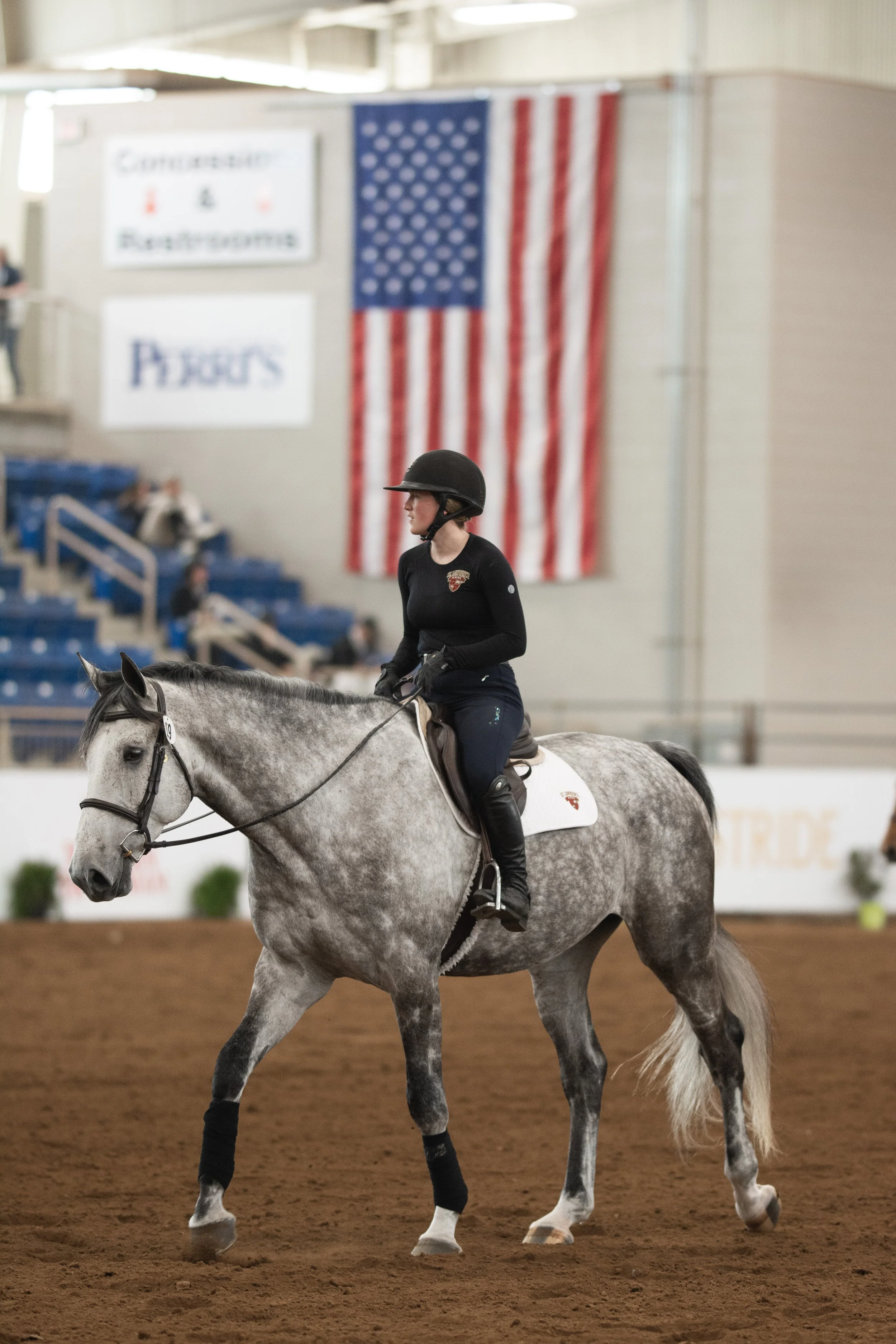 tessa wrice - horse and rider english 7.JPG