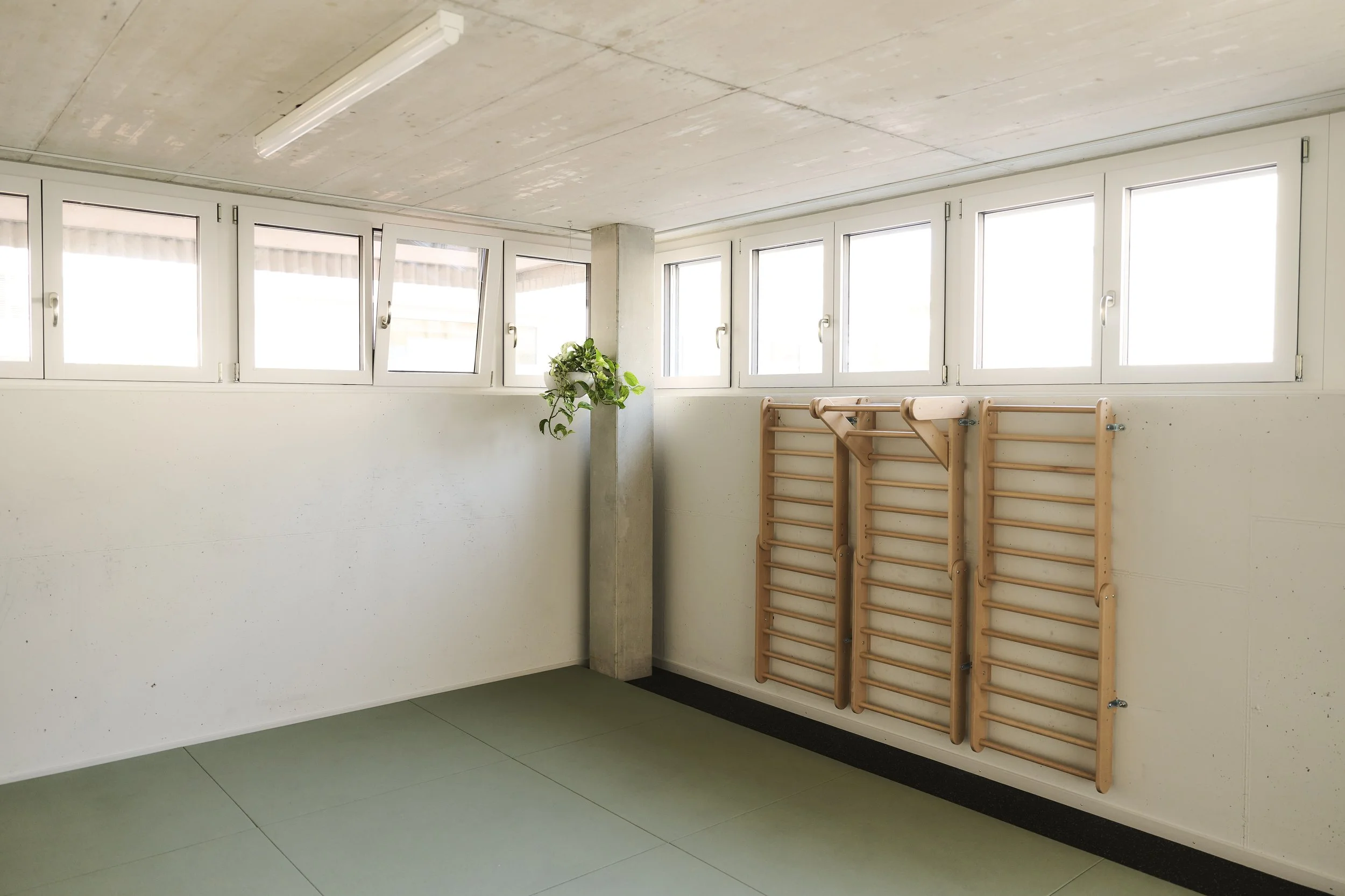 Ein heller, leerer Raum mit mehreren Fenster an einer Wand, einem Klettergerüst aus Holz und einer Pflanze an der Ecke.