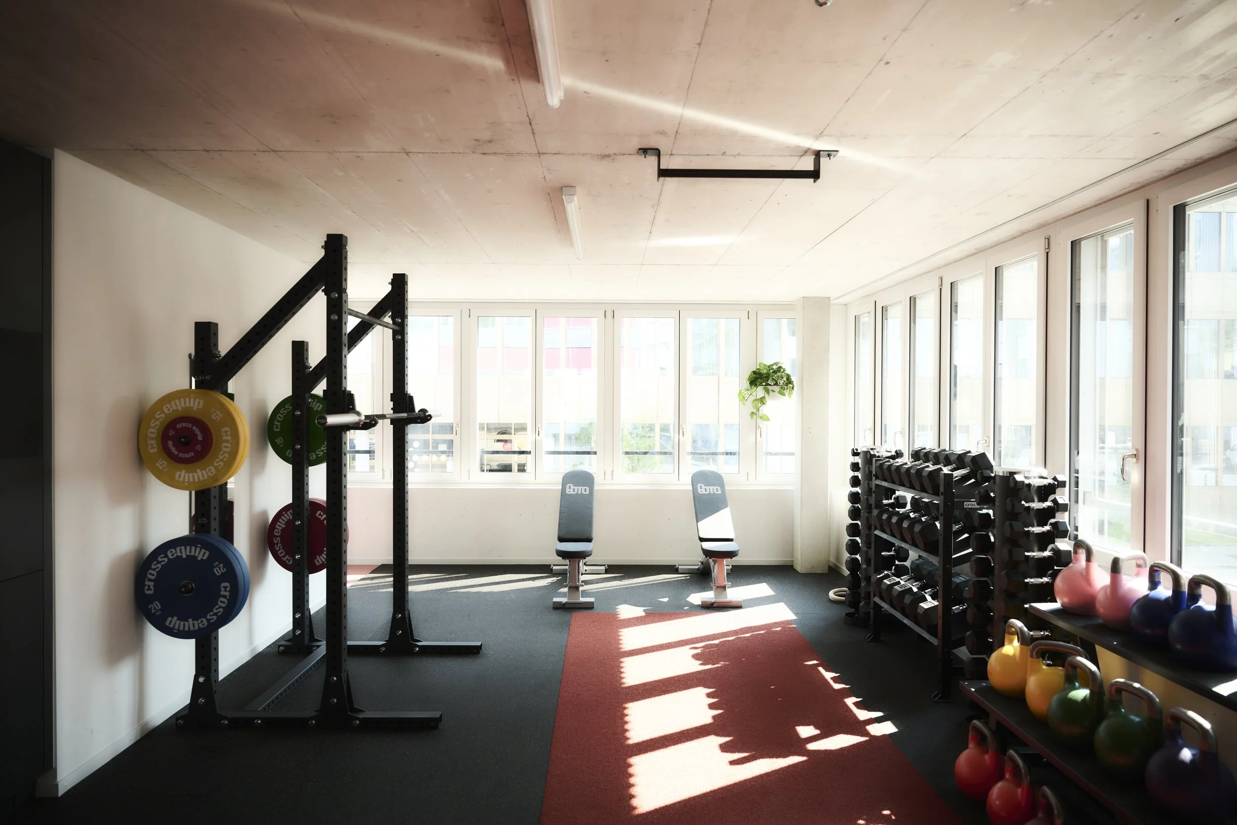Ein modernes Fitnessstudio mit Hantelstangen, Kurz- und Langhanteln, Kettlebells, Spiegeln, einer roten Matte, großen Fenstern und einer Sitzbank.