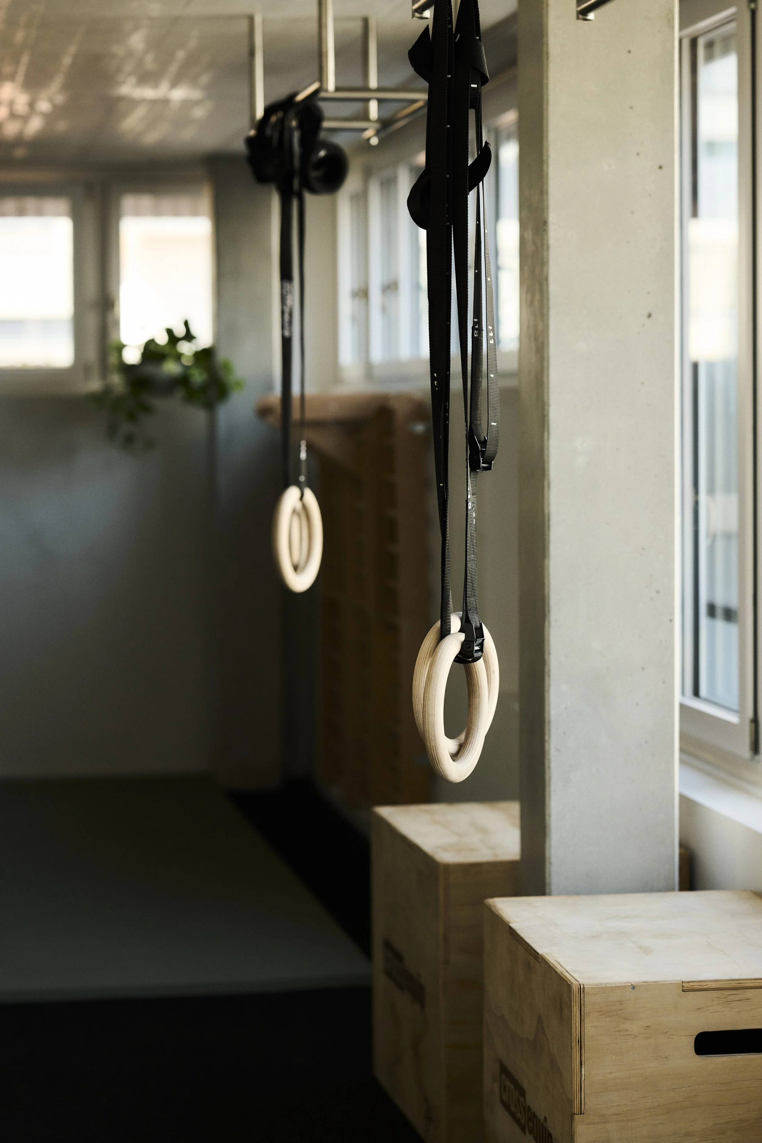 Klimmzüge mit Gymnastikringe an der Decke eines Fitnessstudios