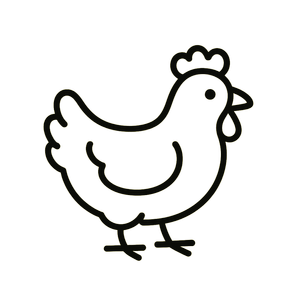 Cage-free chicken protein at DICED — Raleigh healthy lunch spot