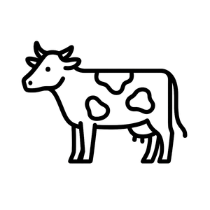 Grass-fed Certified Angus Beef steak at DICED — Raleigh best salads and bowls