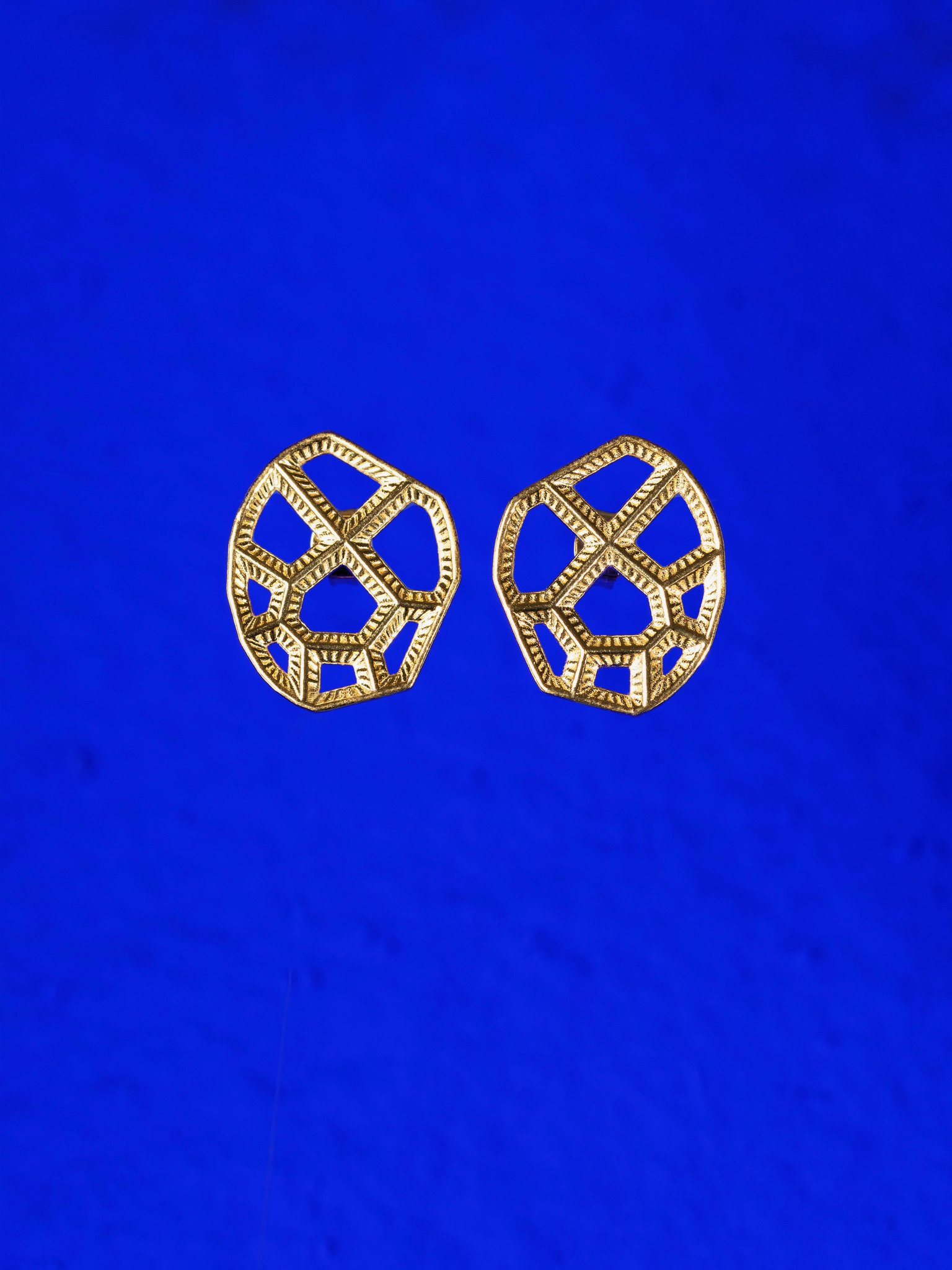 coral-inspired-sustainable-zilver-earrings-3-Studio-IRIS.jpeg