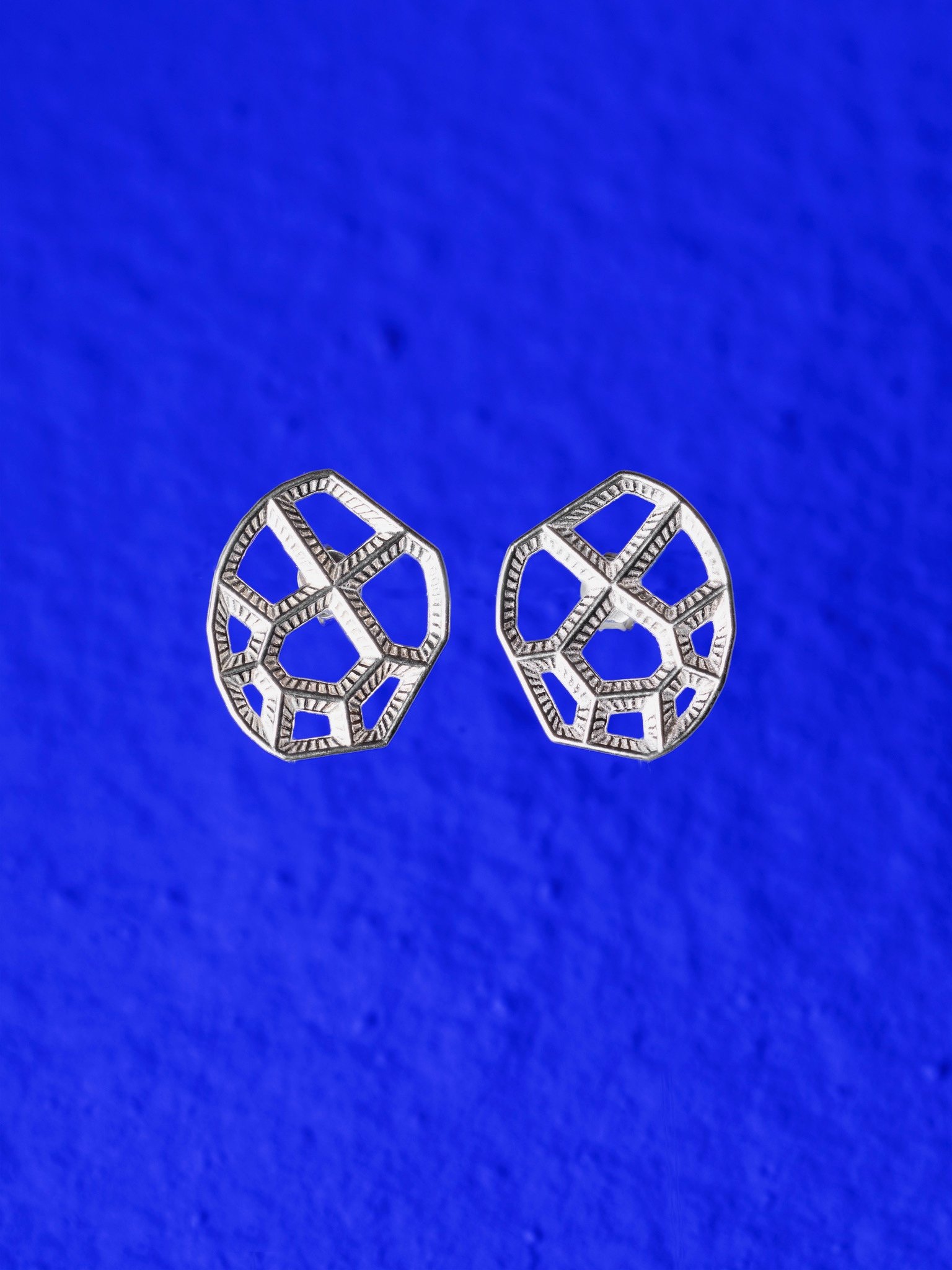 CELL-coral-studio-IRIS-silver-earring-E3.jpeg