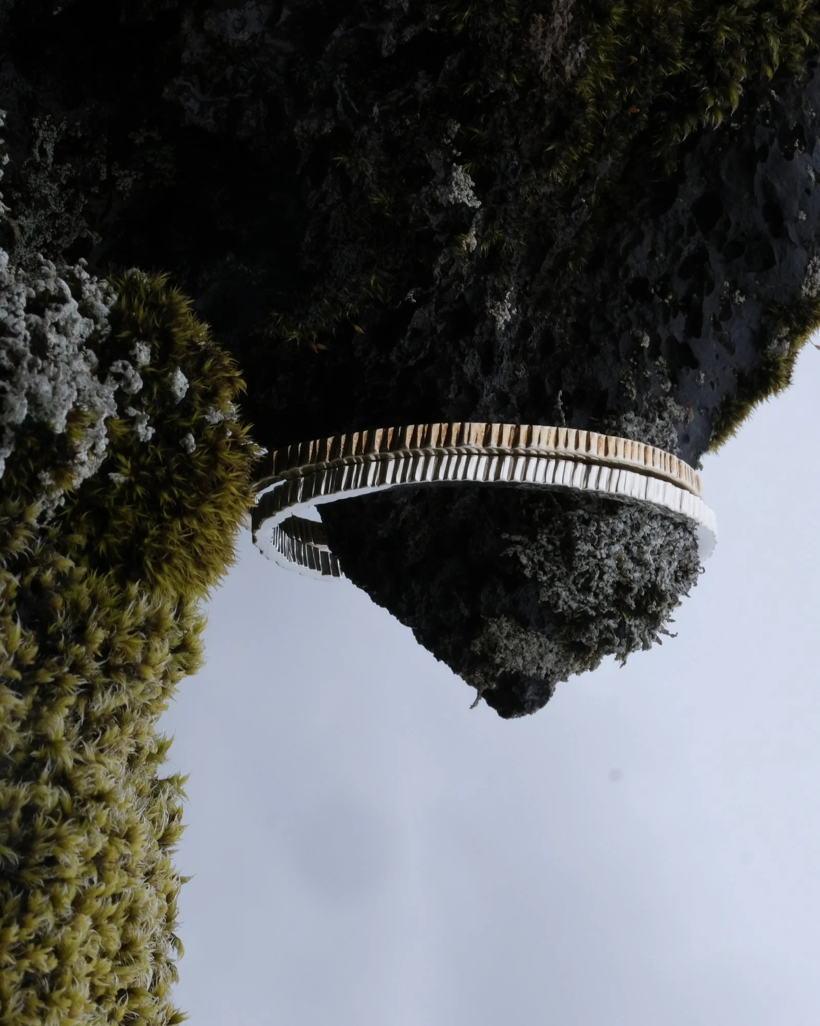 Ceinture Bangle