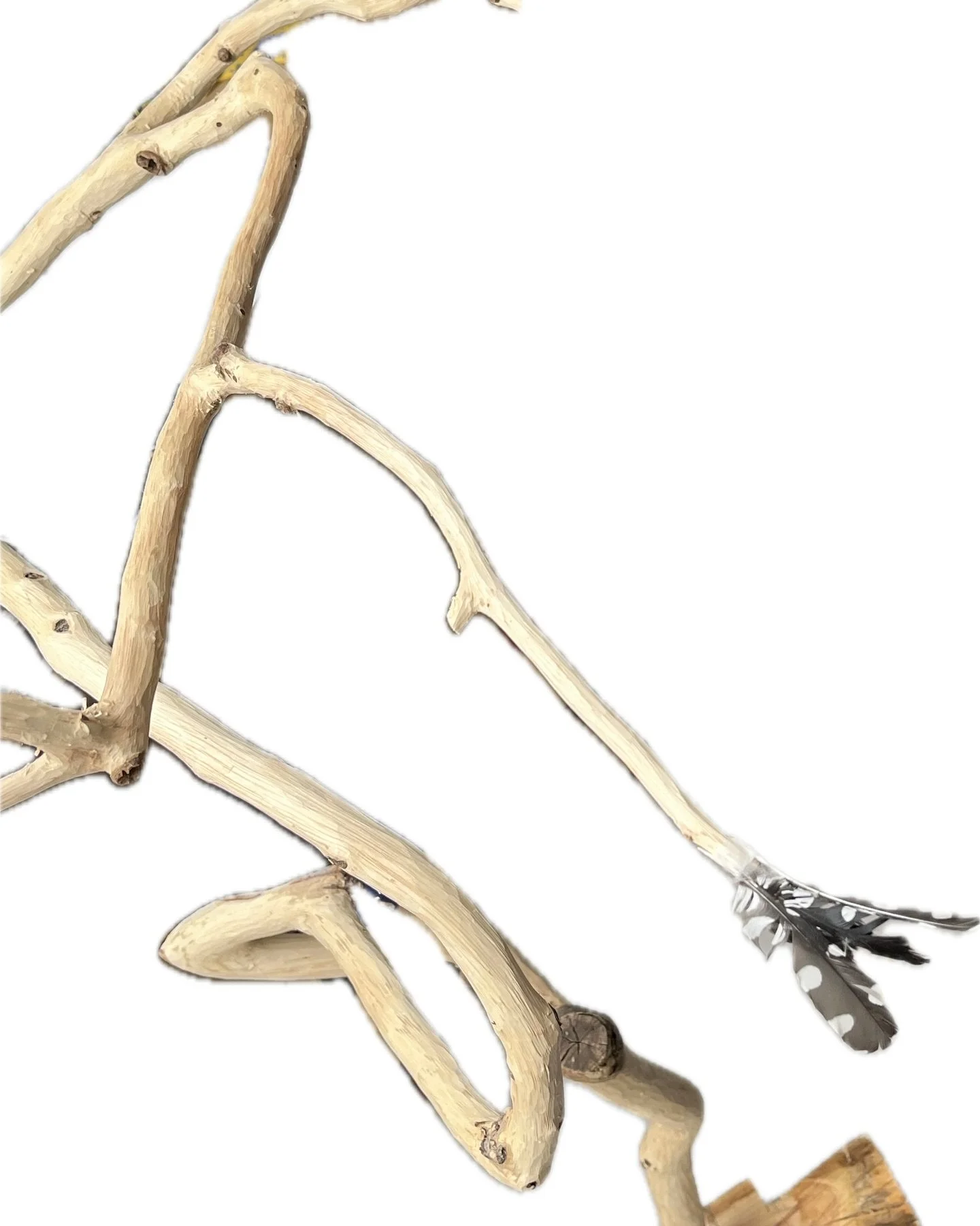 Some recent drawings, wood sculptures and photos taken walking through our local ancient Epping Forest... 
Working with wood I am always inspired by trees.  The branches growing out from neurons in our brains cells are called &lsquo;dendrites&rsquo;.