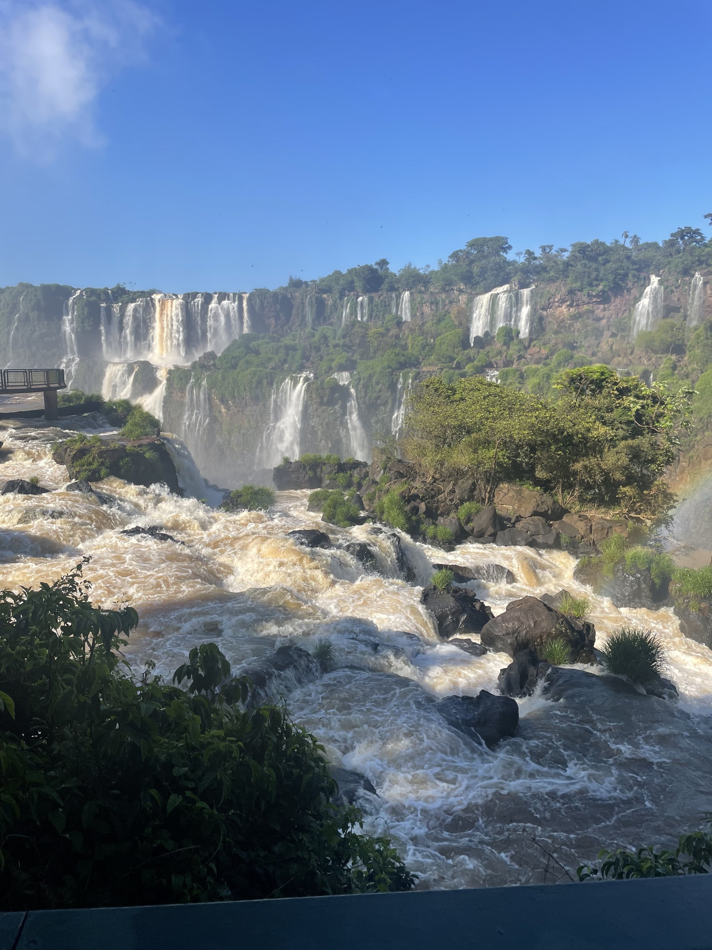 IMG_5869.jpeg