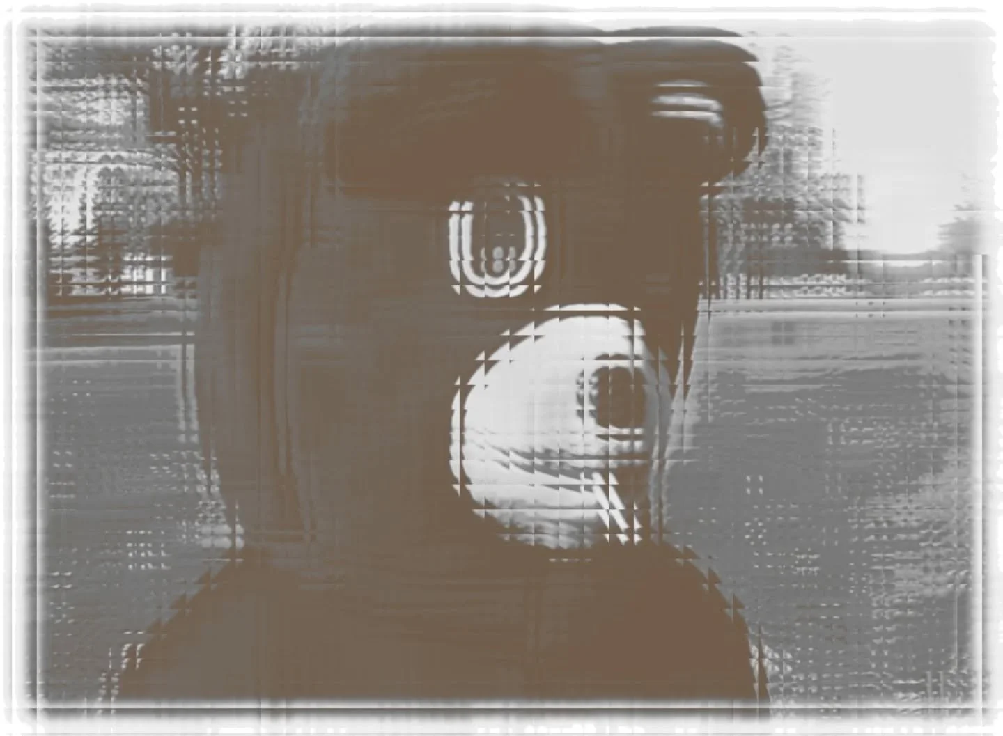 Love this store however today was checking out and I felt something weird on my hand I look down and there's 2 or 3 roaches running across the counter! I'm disgusted with cleanliness. However overall the staff is very good and the prices are good.