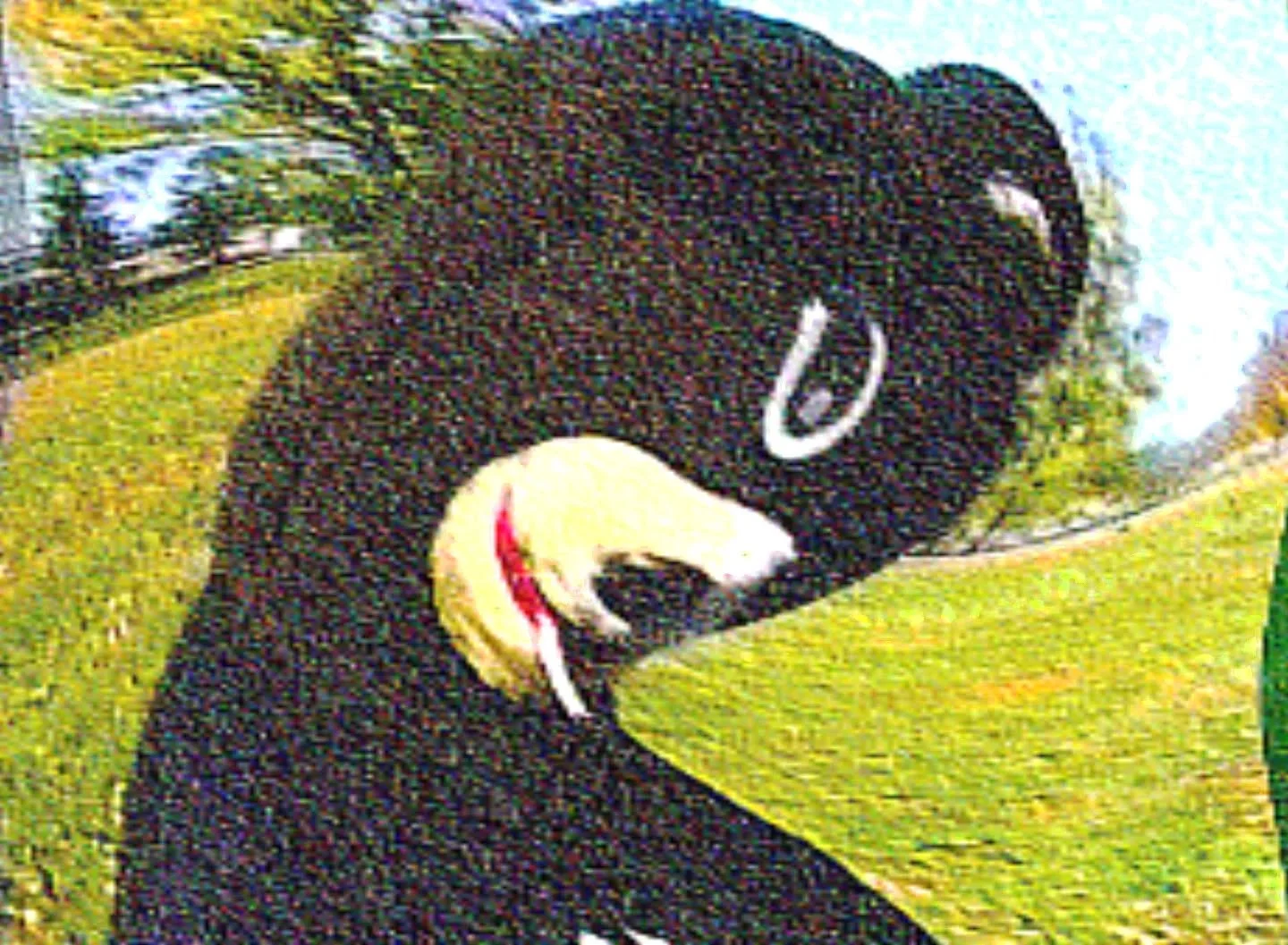 Horrible experience. Dont use there redemption center. I pre count my bottles. I had 24.00$ Clerk handed me 12.00$ Owner called me a liar, I brought in 4 compactor bags with 120 cans/bottles in each bag. Had to resort to calling the police. Owner ref