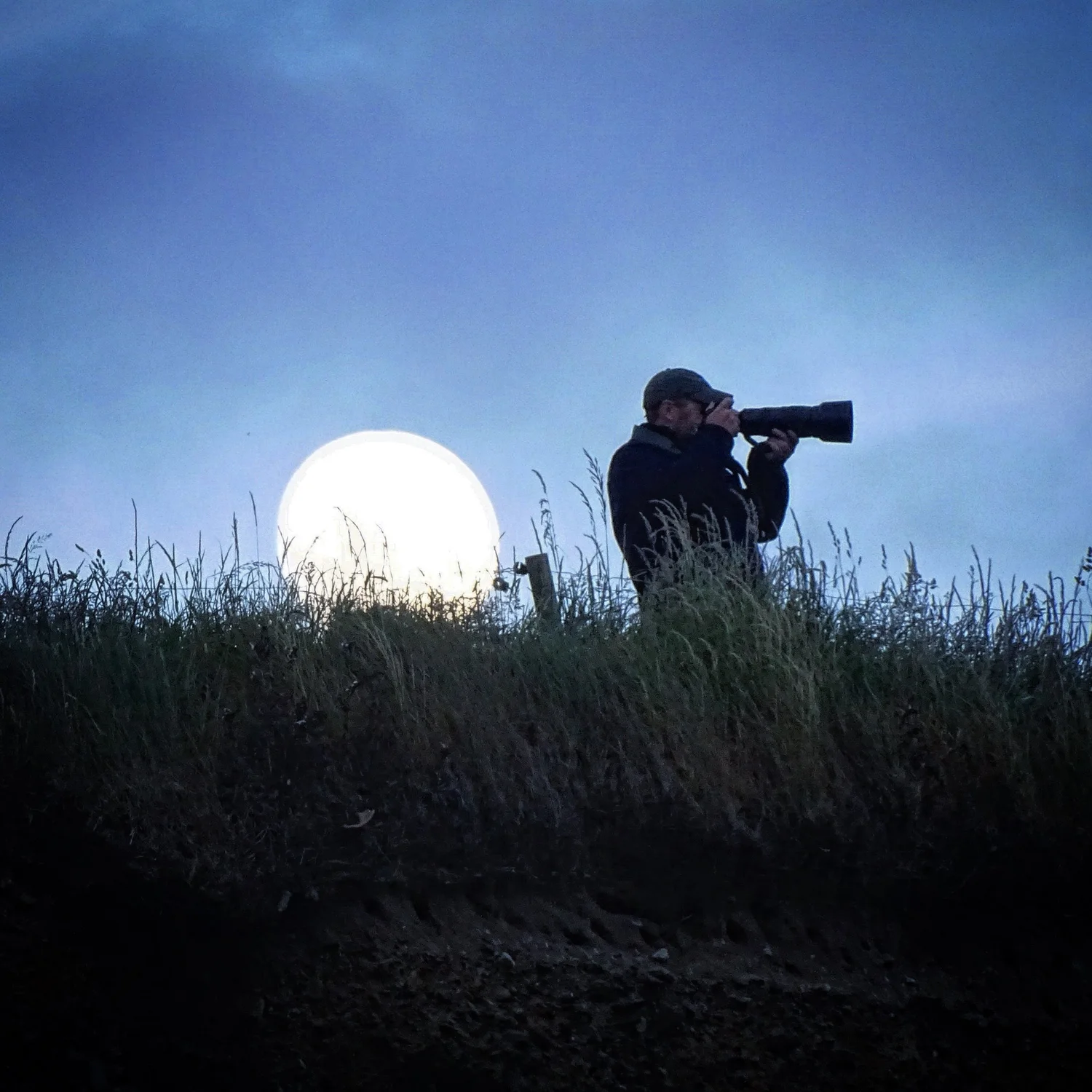 Nick Haigh Wildlife Photography