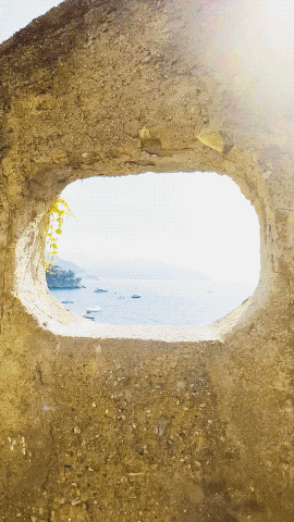 websiteportgif.gif