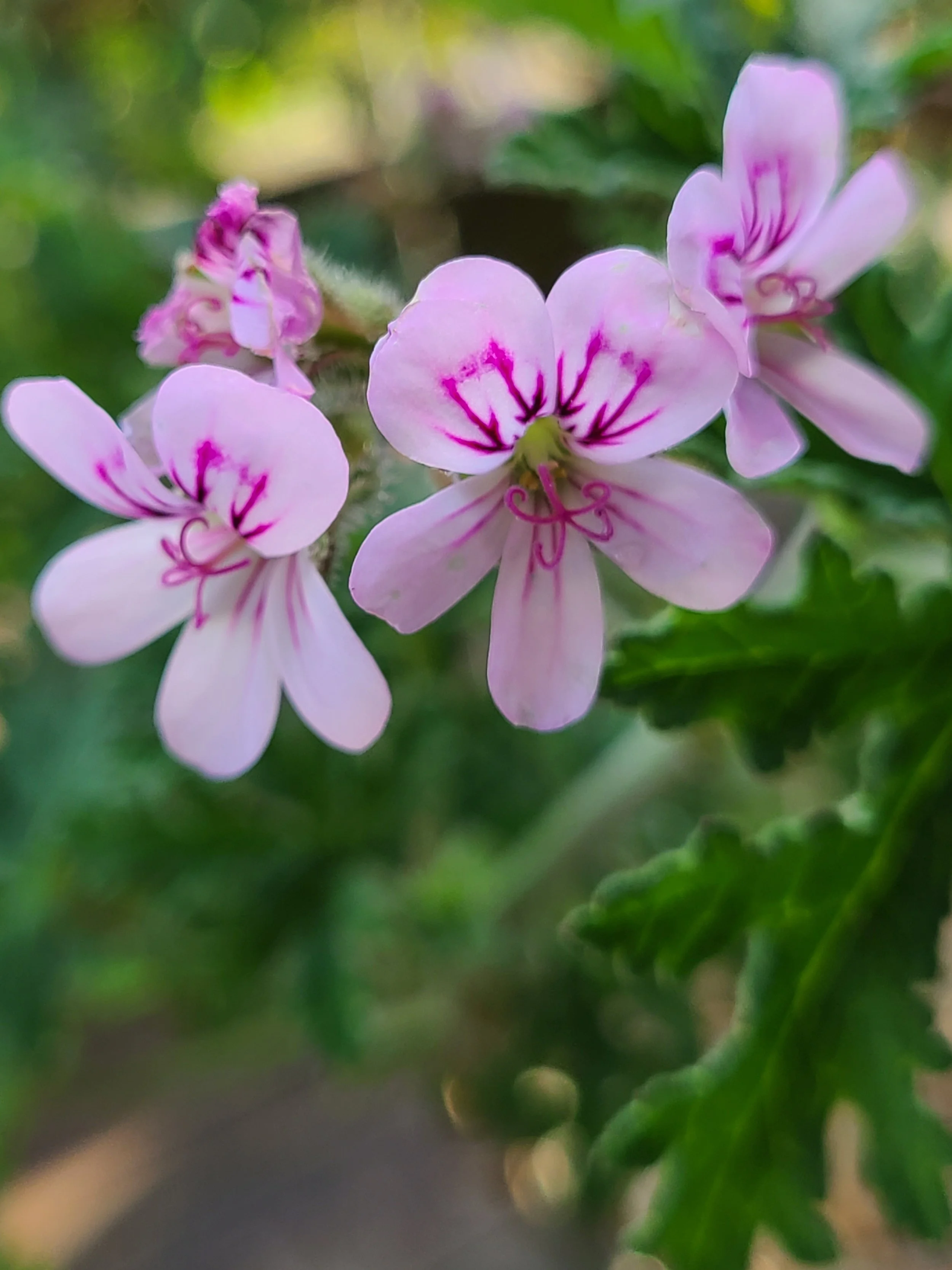 What Makes You Happy?