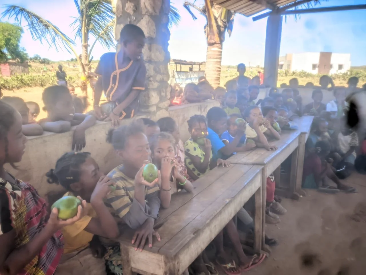 WhatsApp Image 2025-12-24 at 15.52.50.jpeg