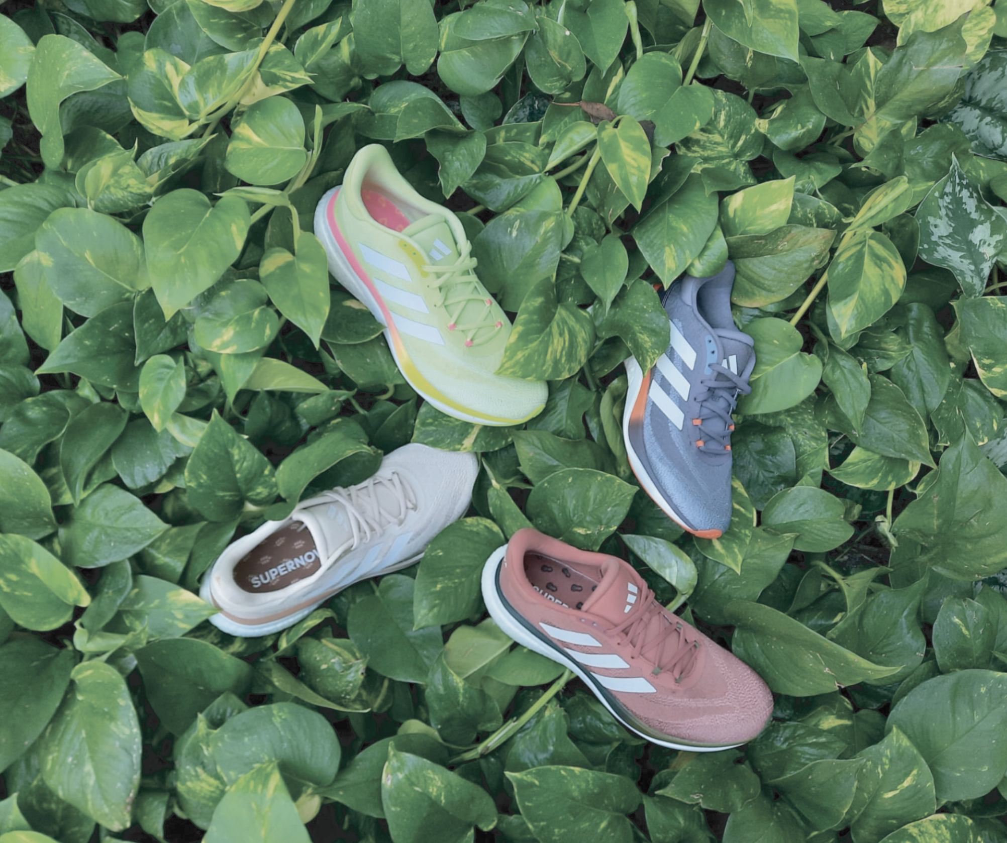 Screenshot 2024-03-08 at 21.11.15.png