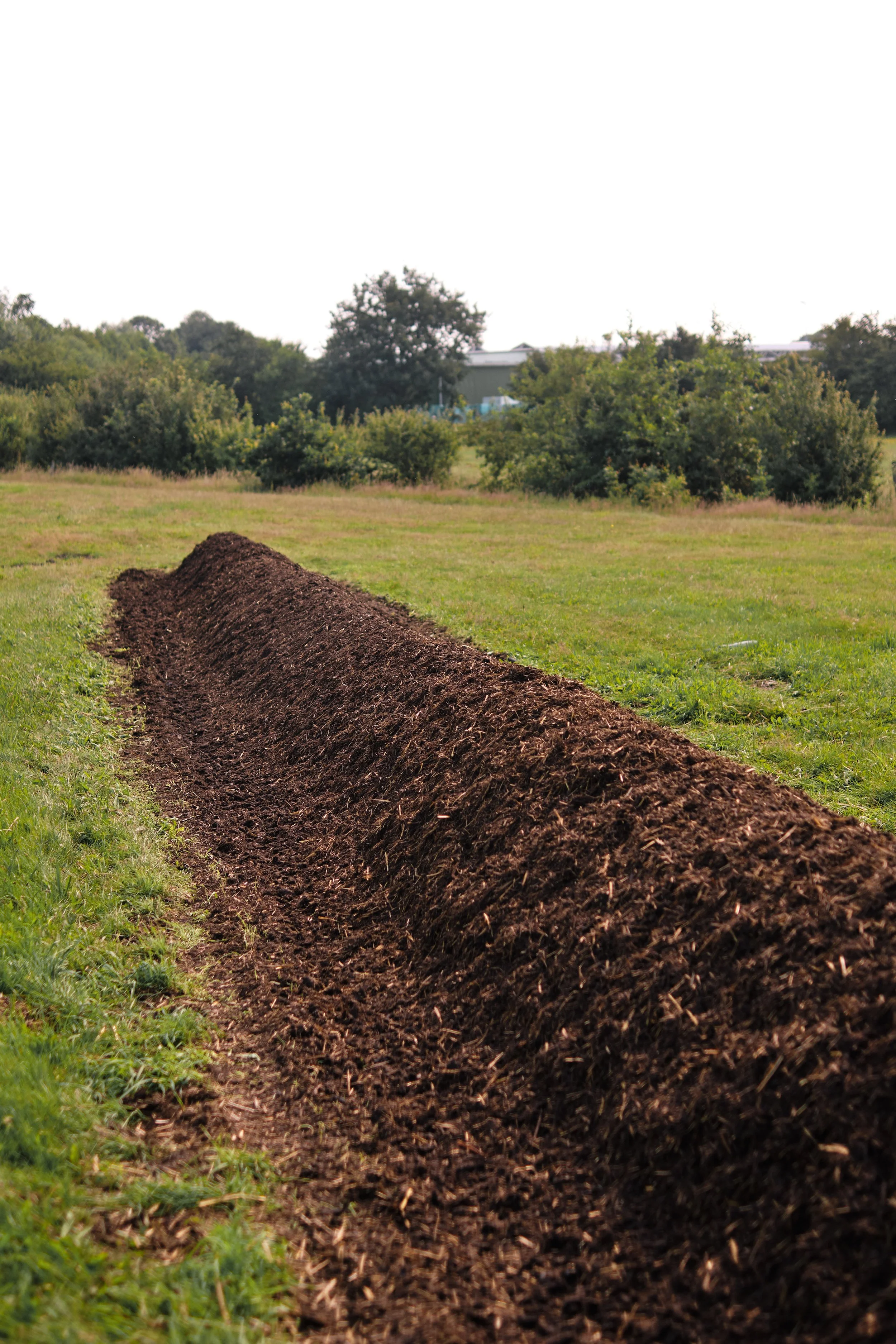 solawi_juli22 68.jpg