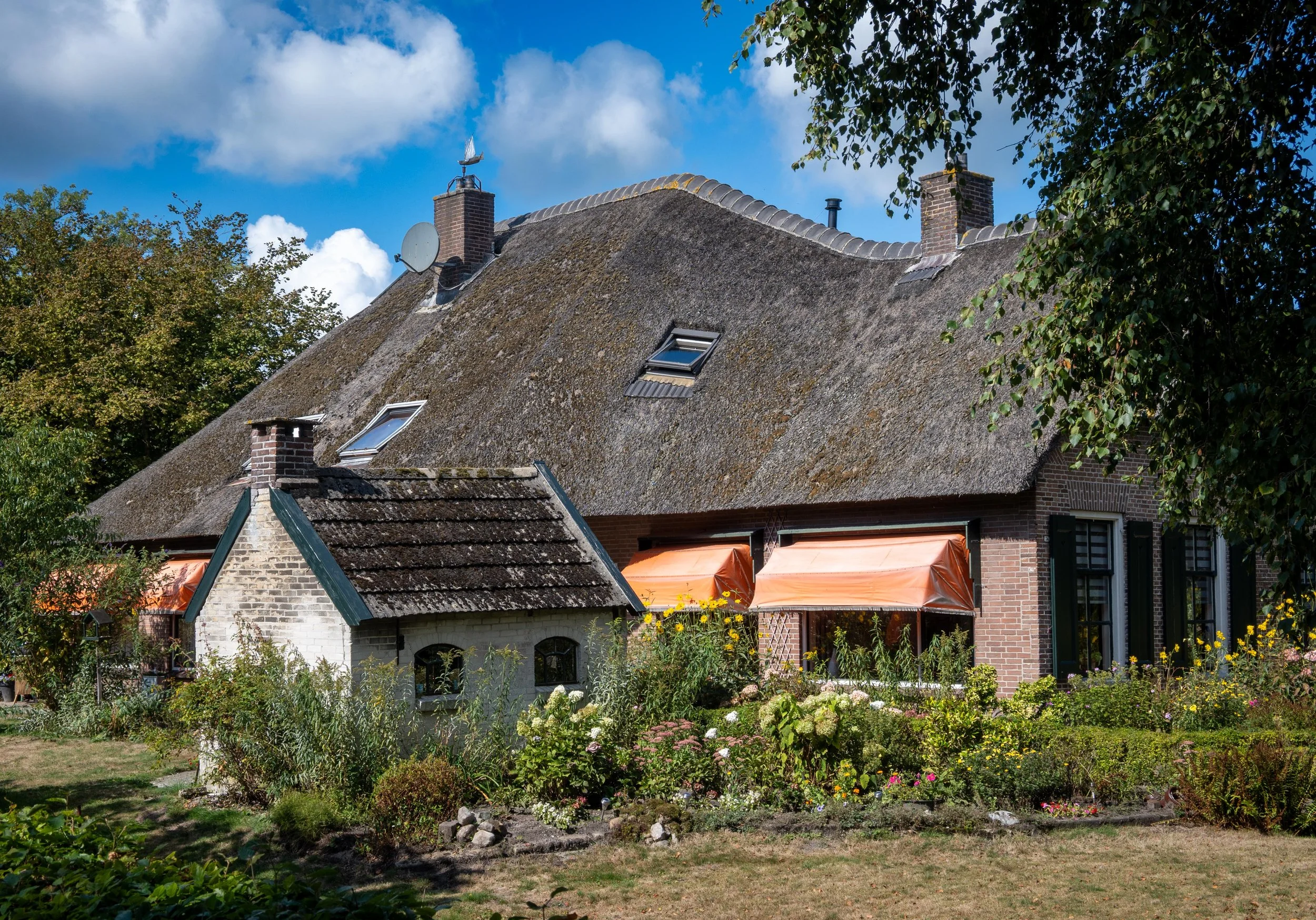 Dutch house, Netherlands