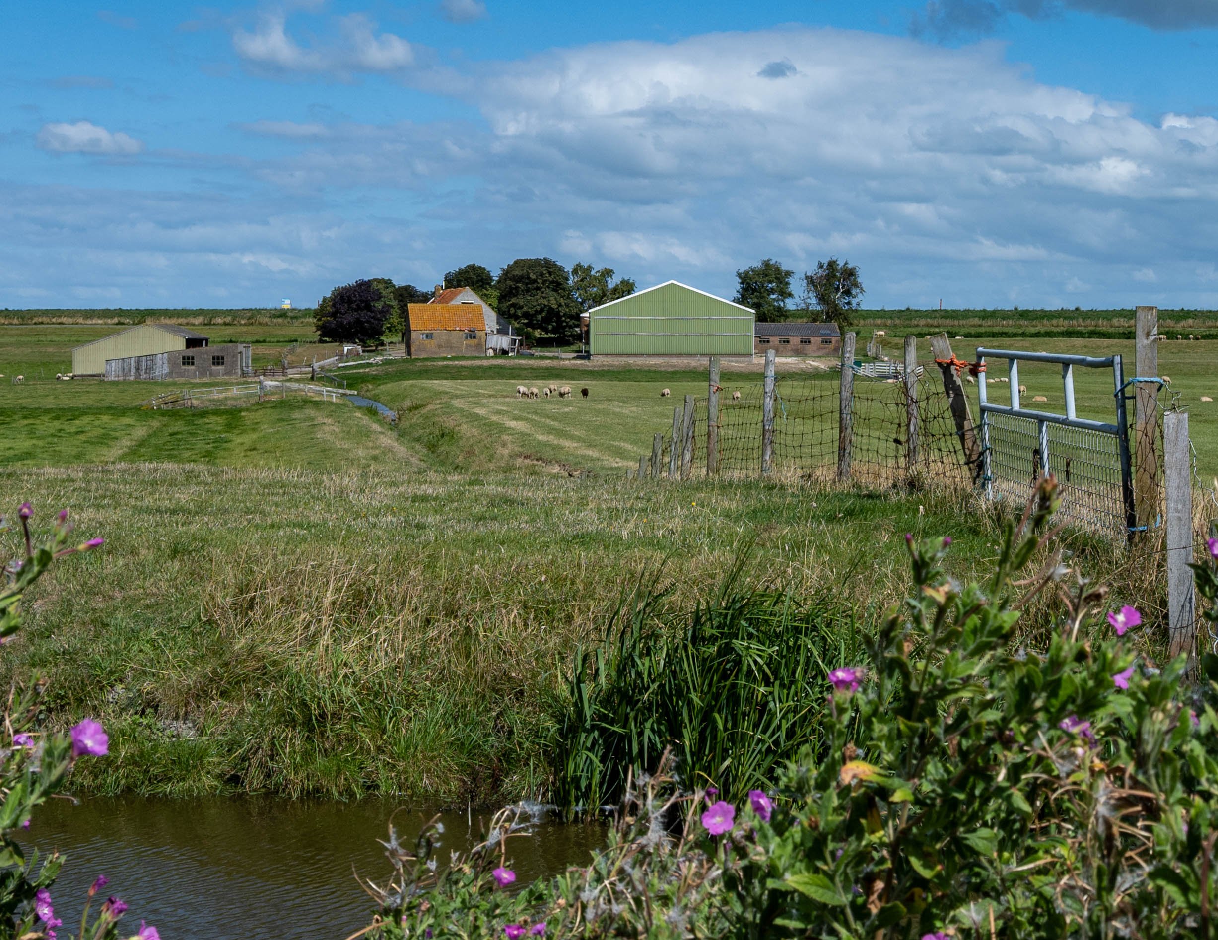 Farm, Netherlands