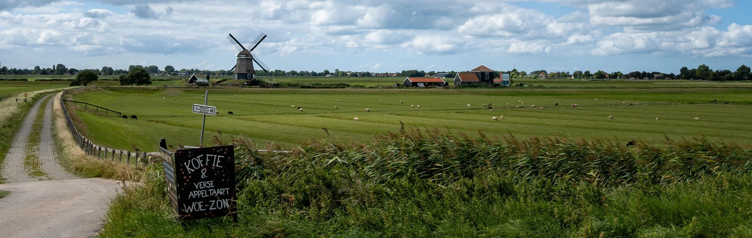 Windmill farm field, Netherlands