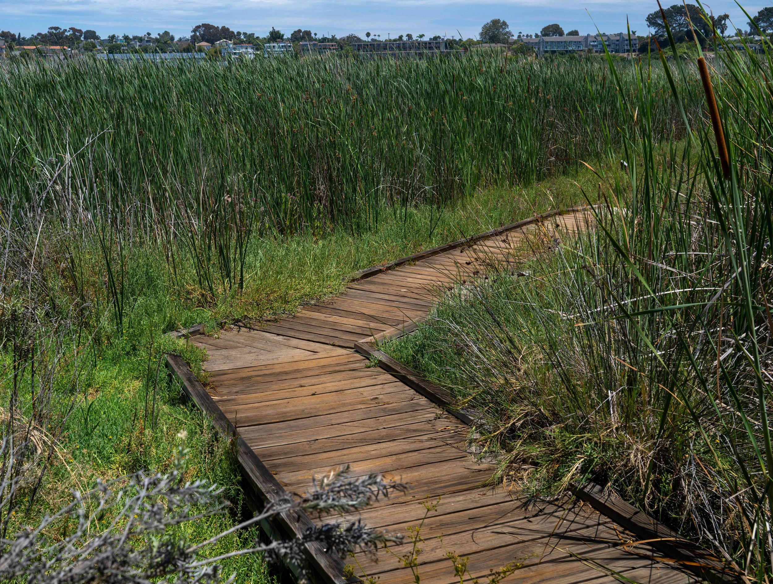 Nature center path, Carlsbad, CA