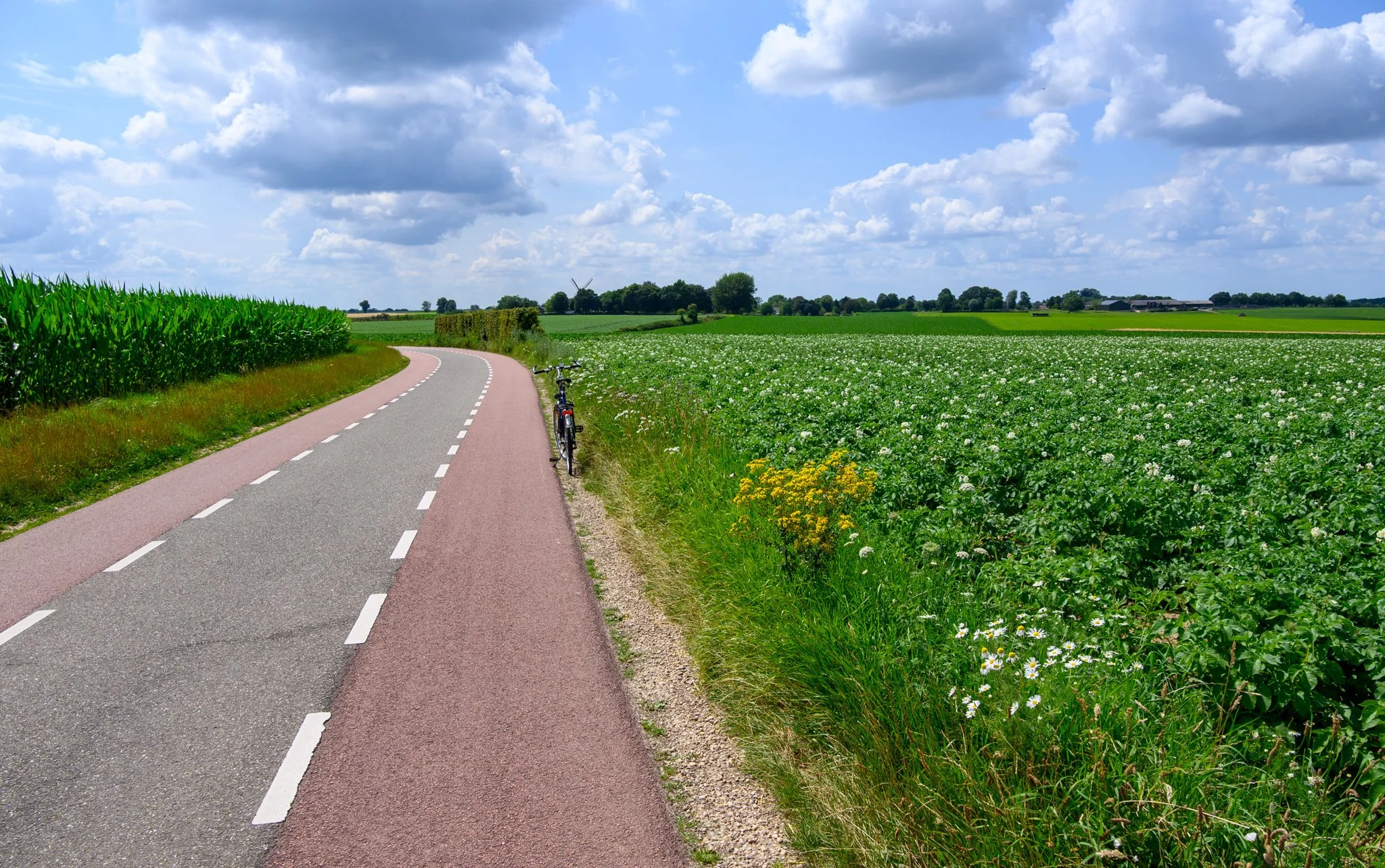 Southern Netherlands