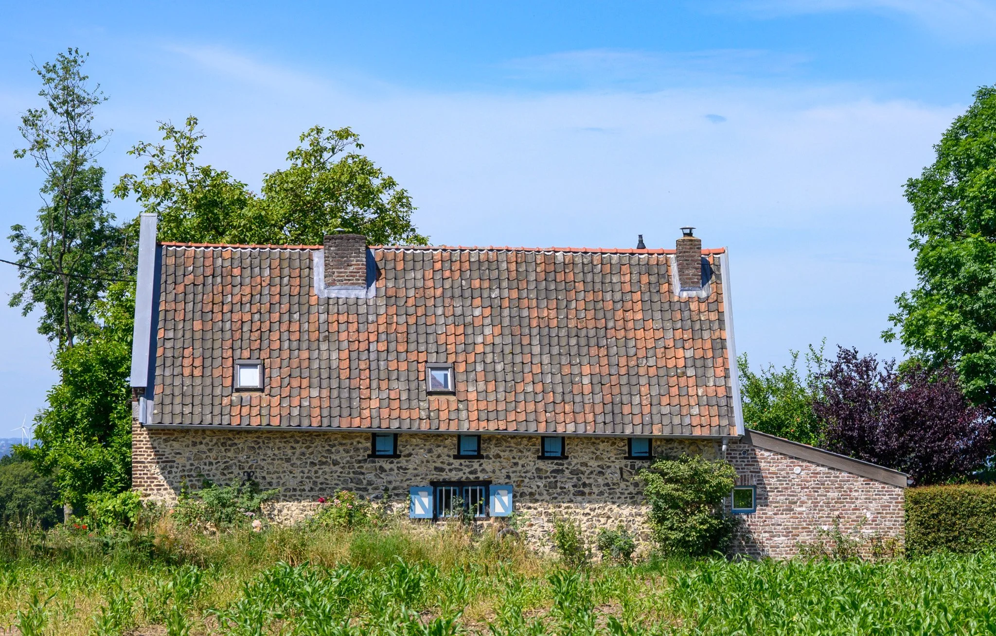 Farm building, Netherlands