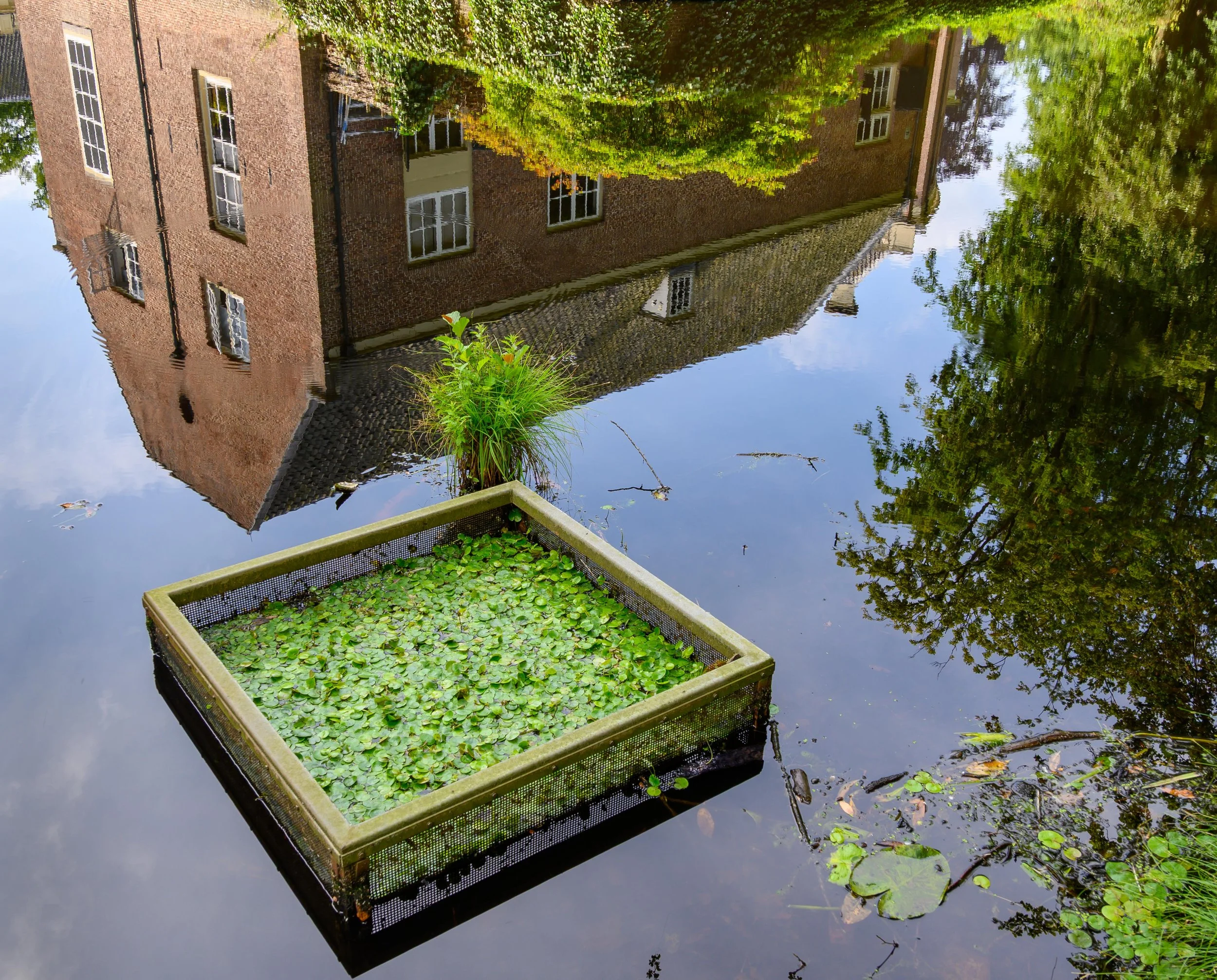 Reflection, Netherlands