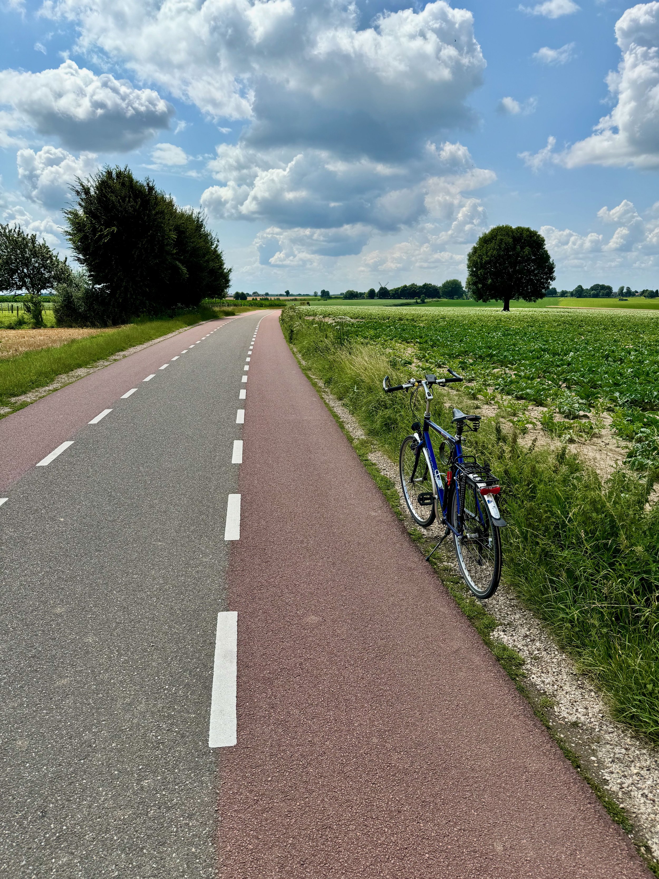 Rural bike ride, Netherlands