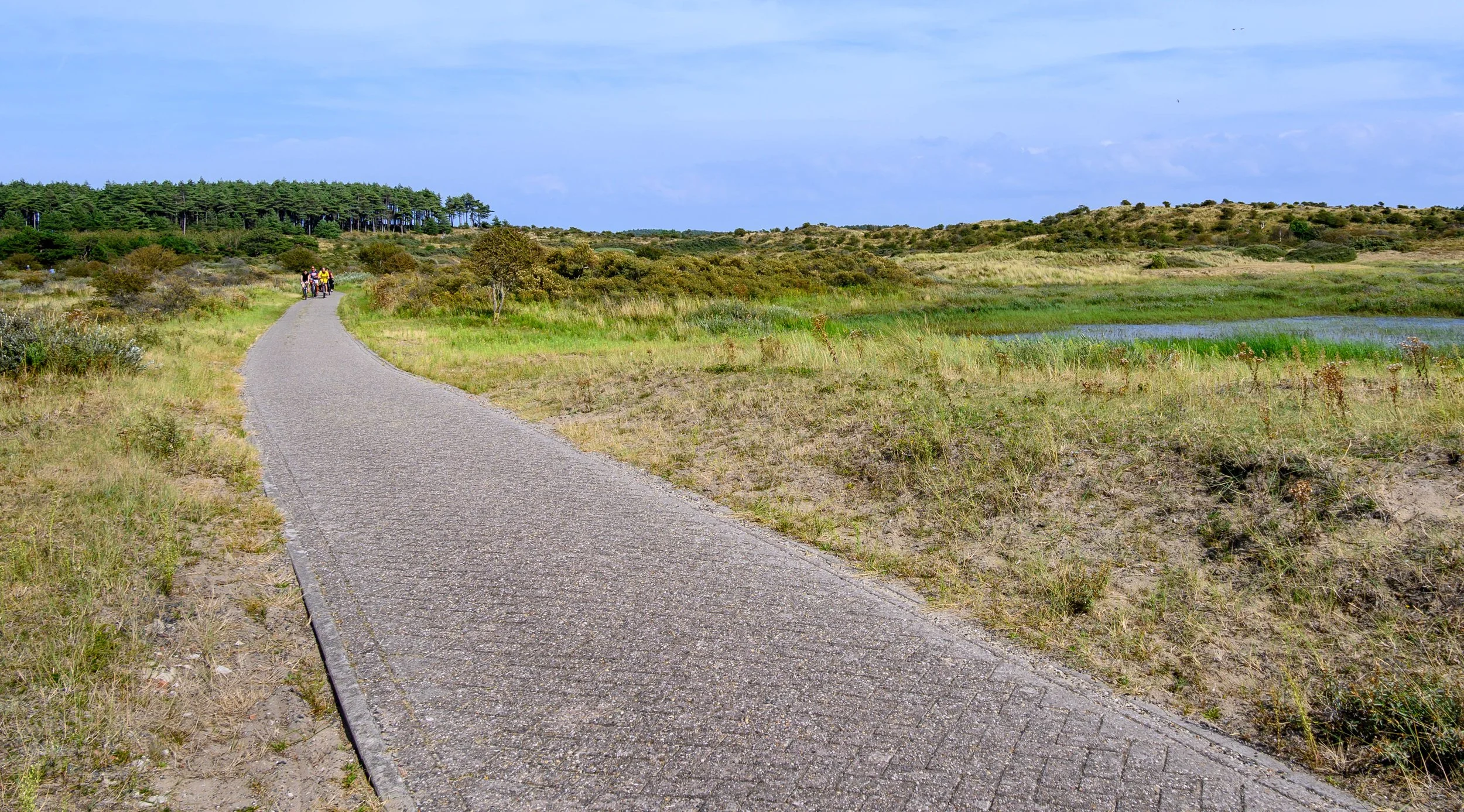 Bike path, Netherlands