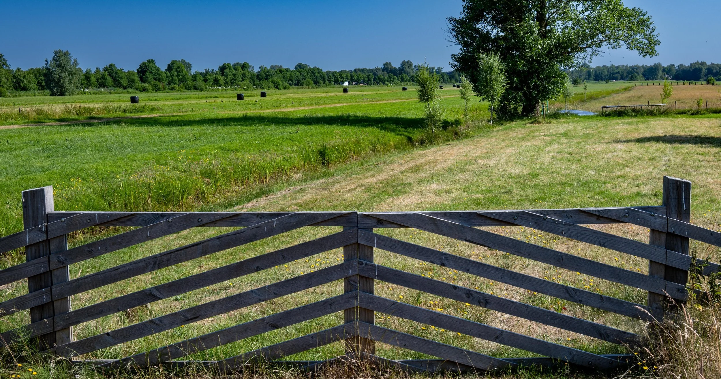 Farm gate, Netherlands