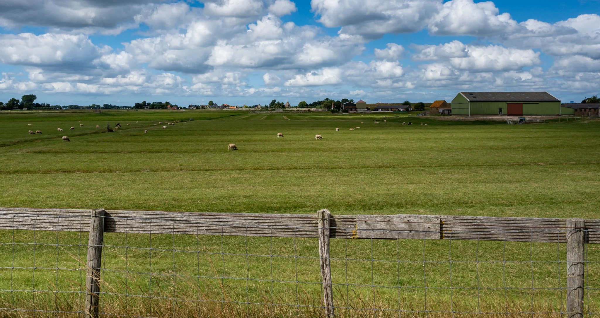Farm field, Netherlands