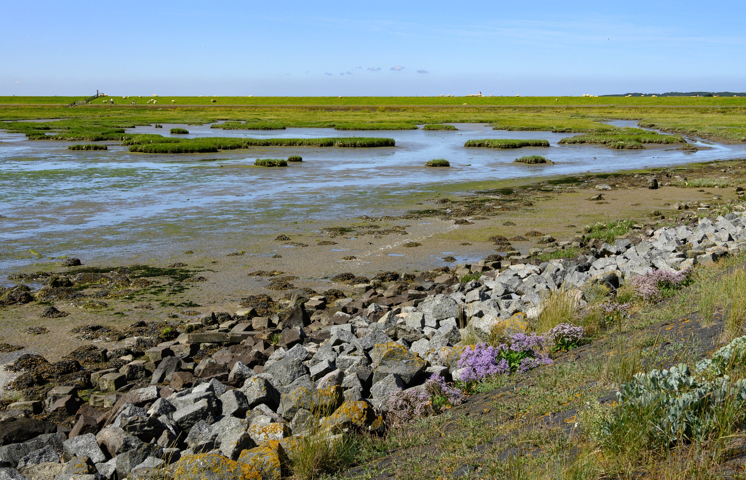 Tide flat, Terschelling, Netherlands