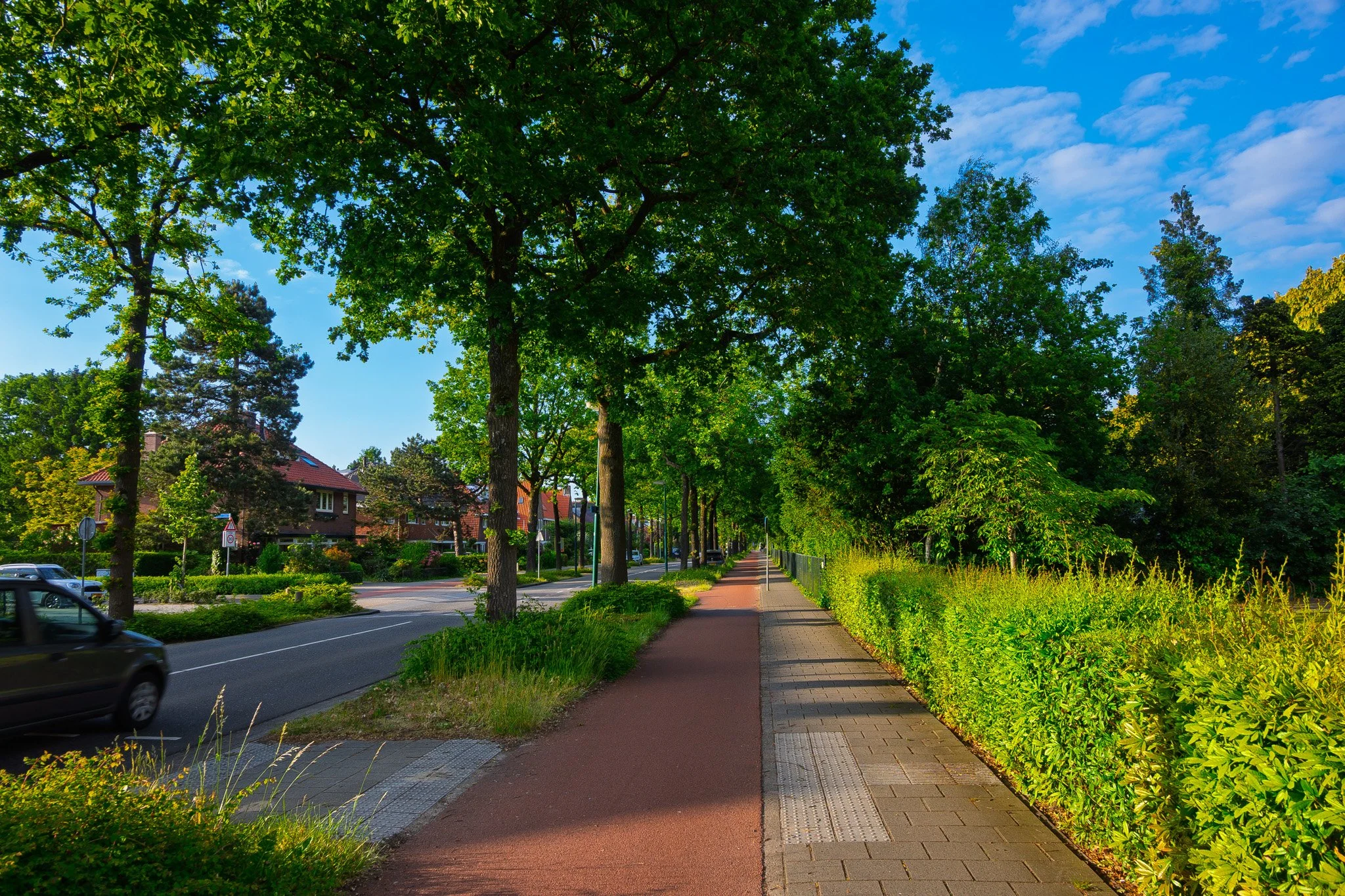 Typical separated street, bike path, sidewalk. The best! Netherlands