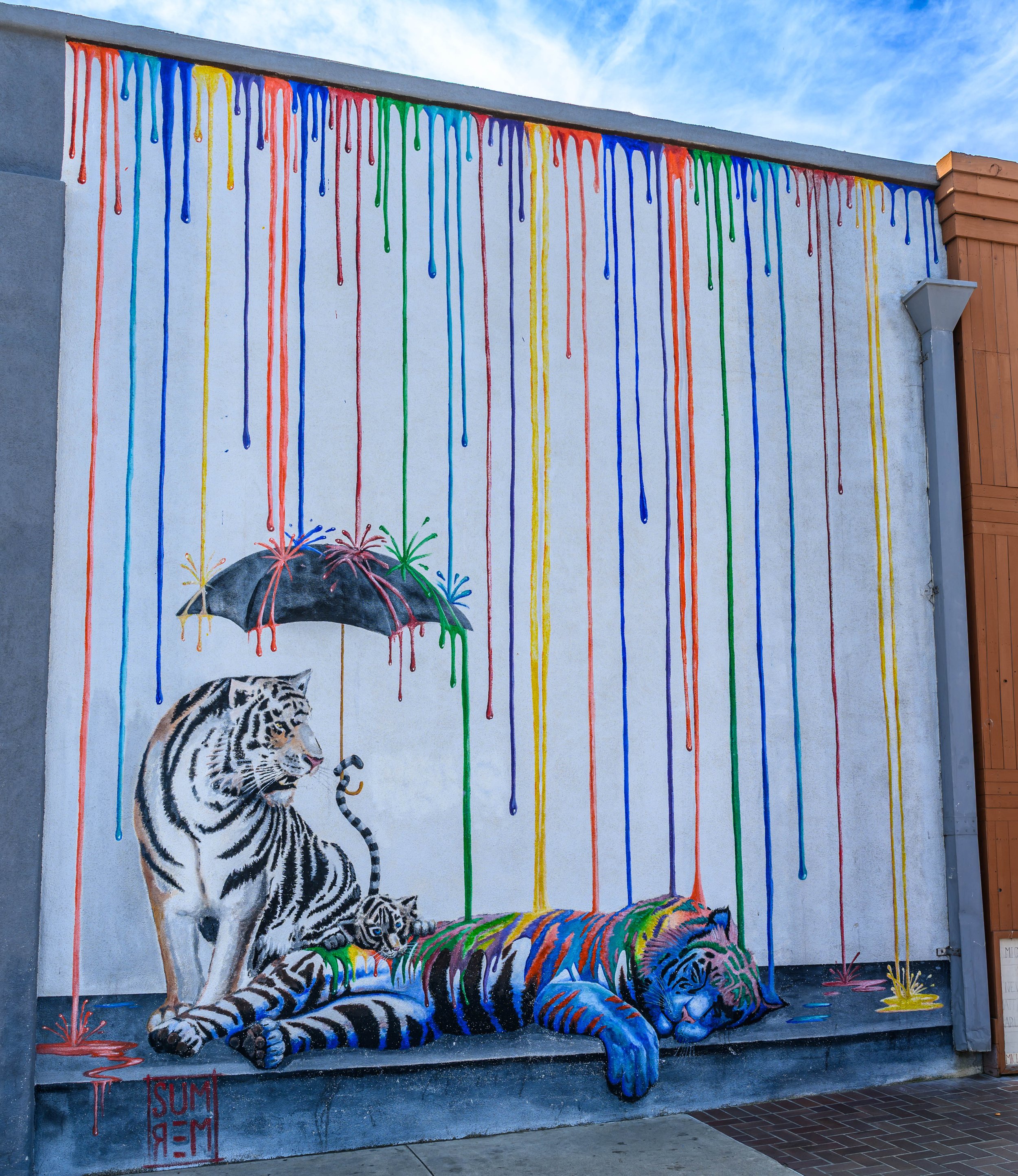 Tigers
