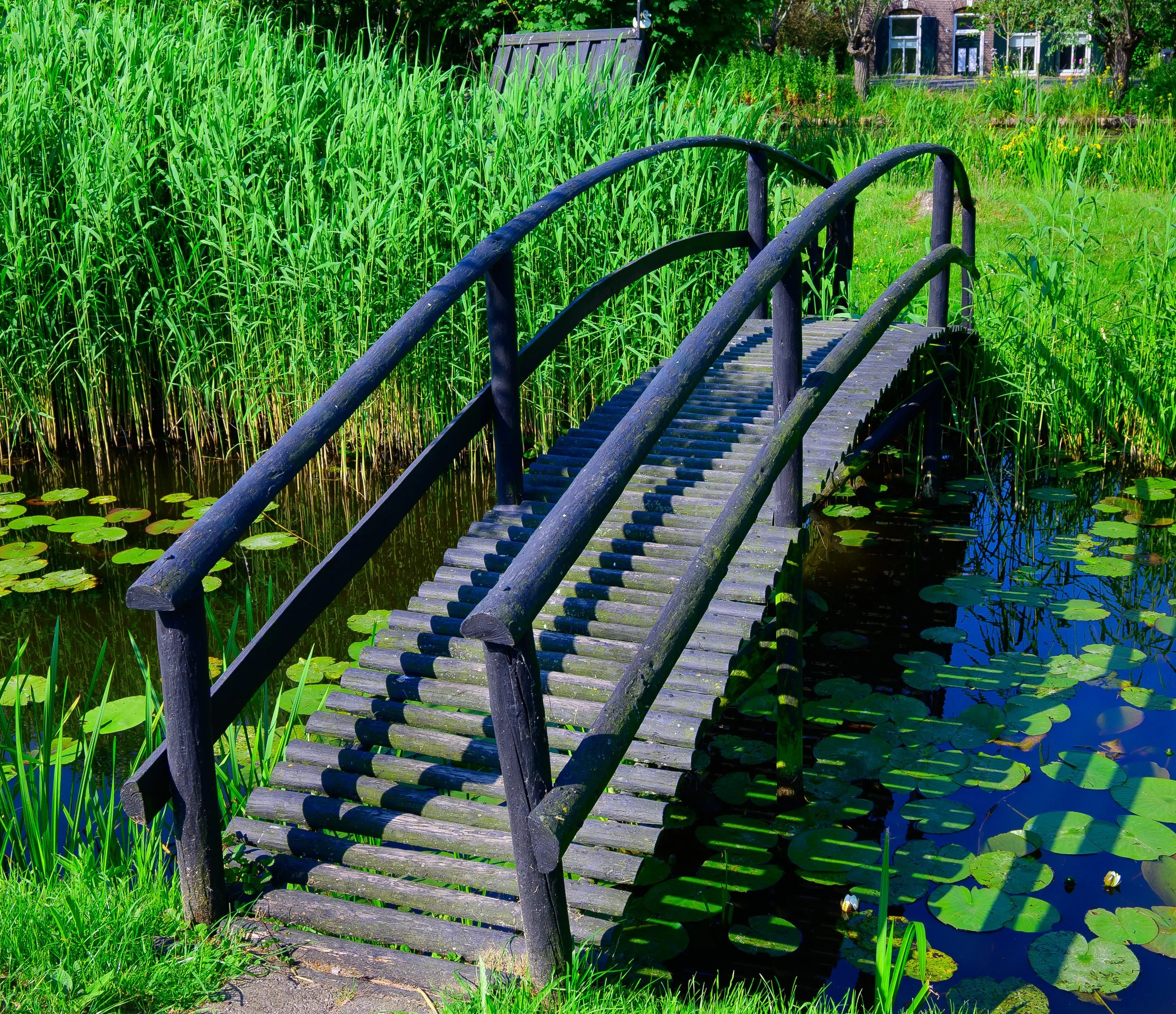 Foot bridge
