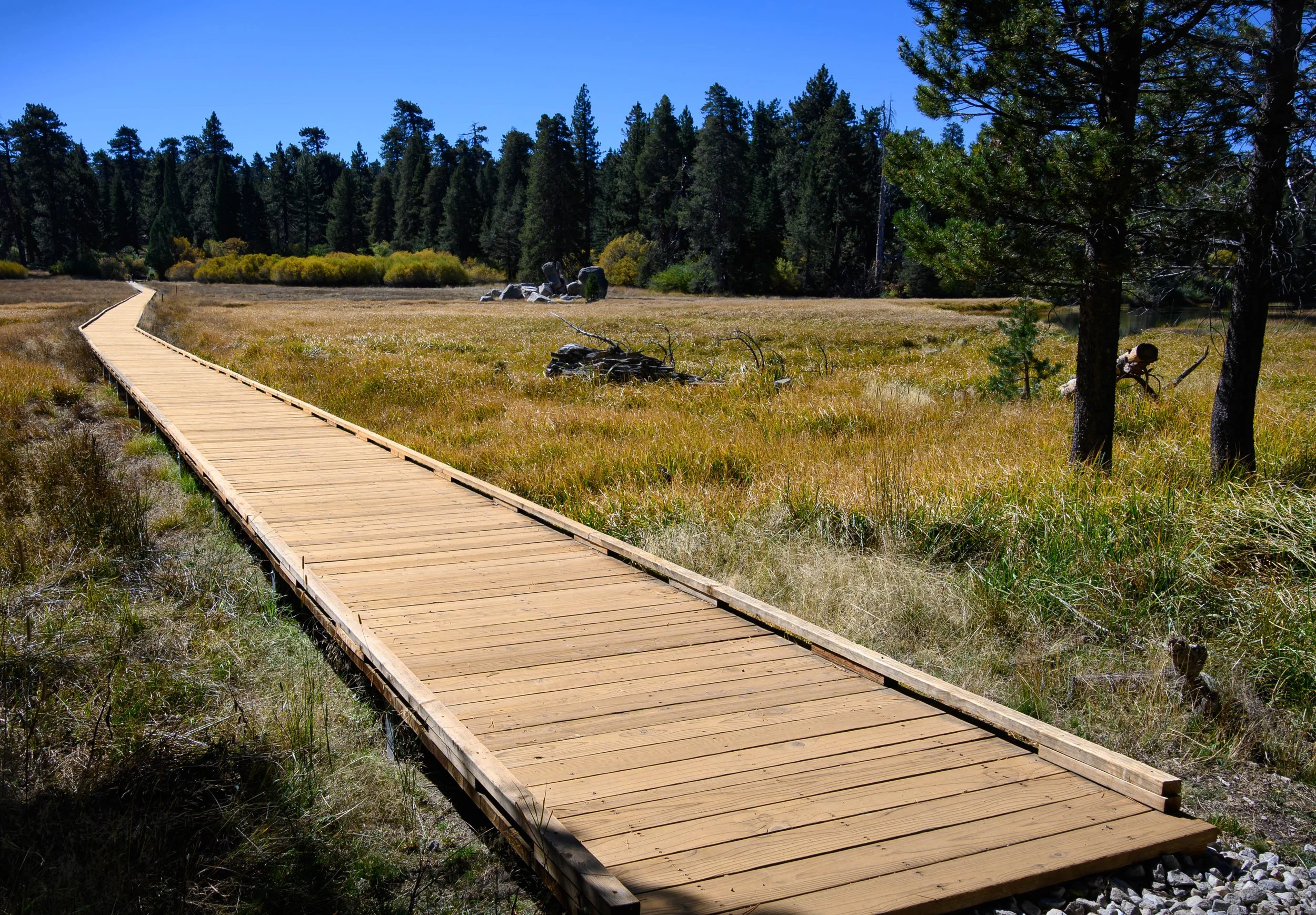 Meadow walkway