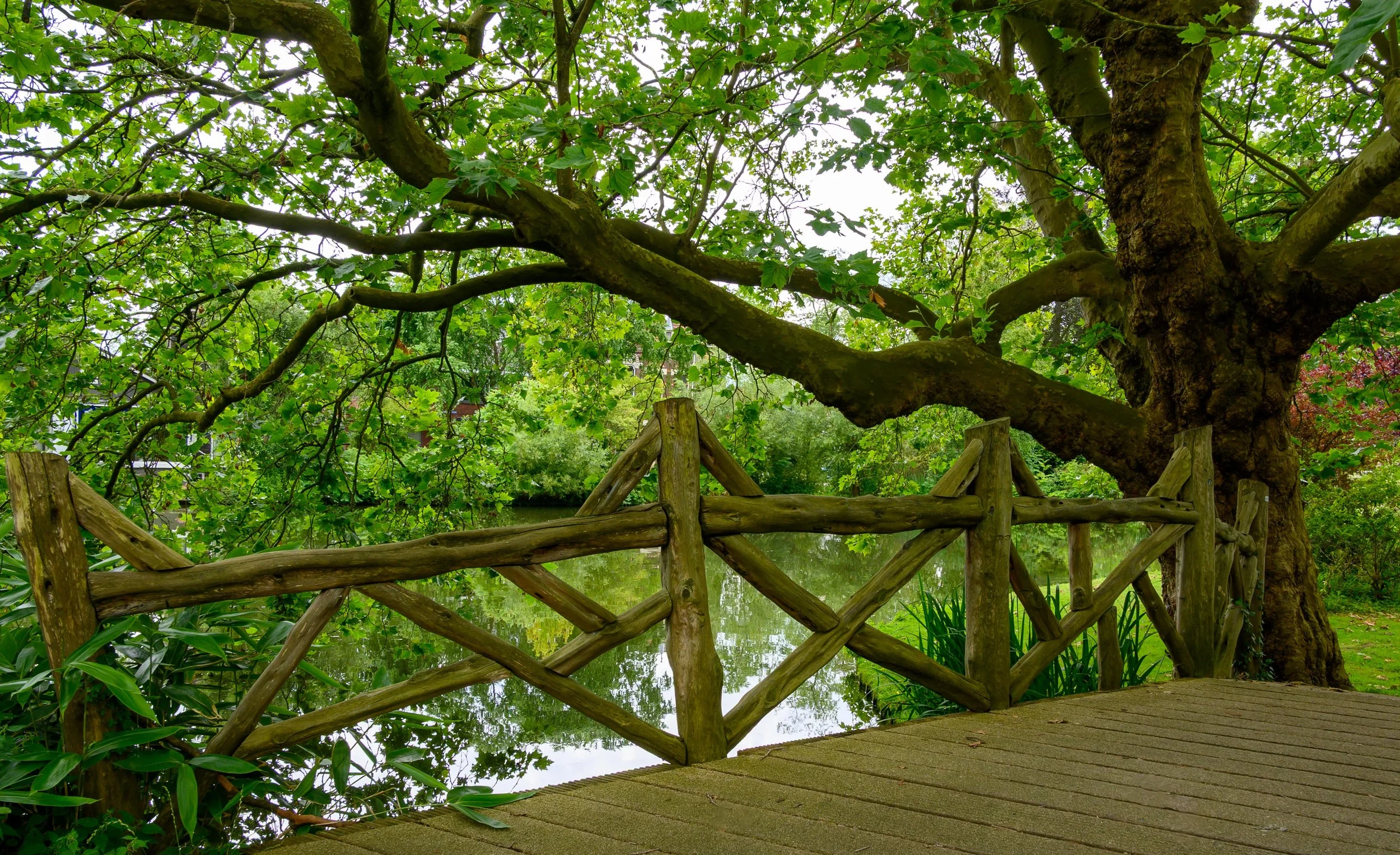 Green bridge