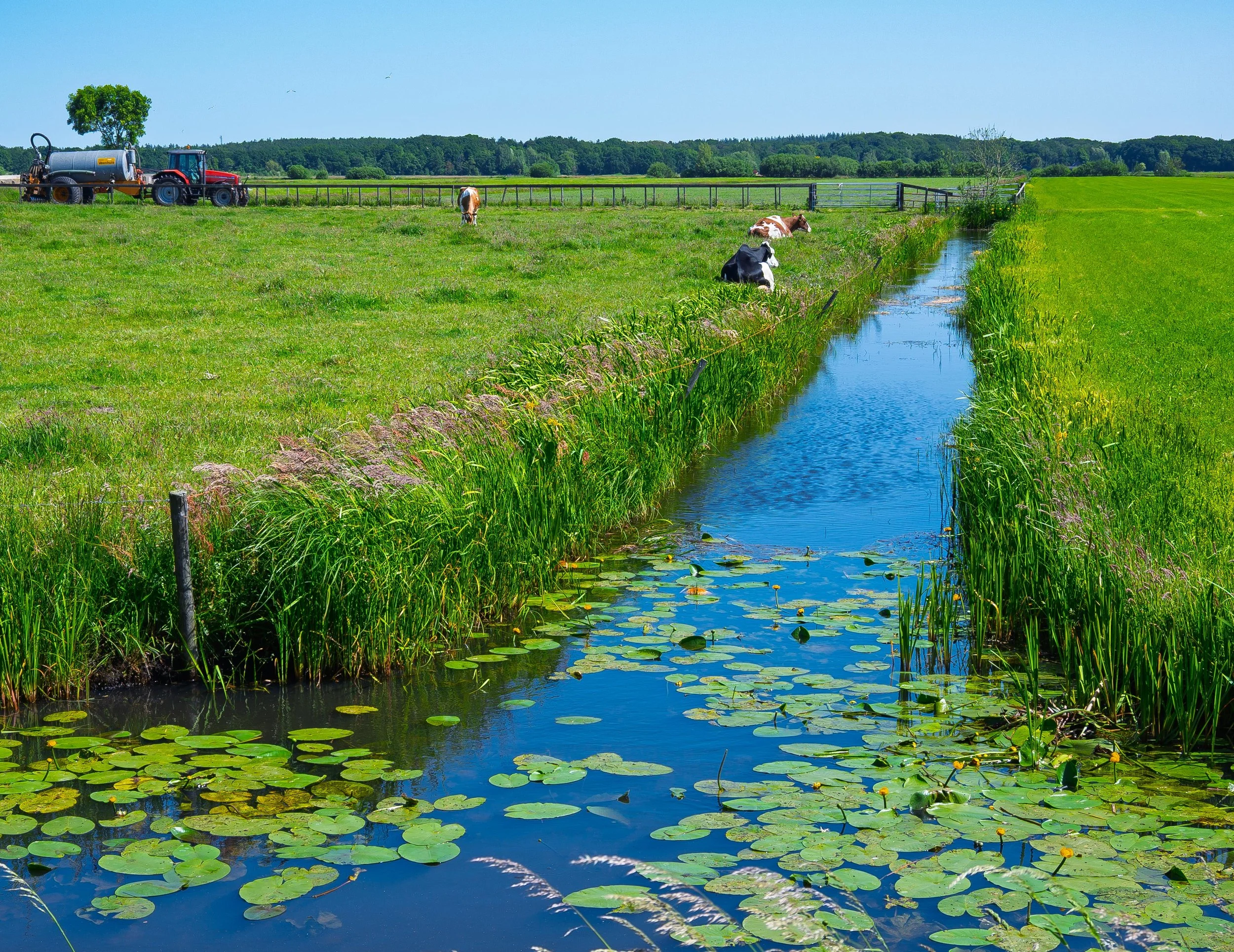 Farm, Netherlands