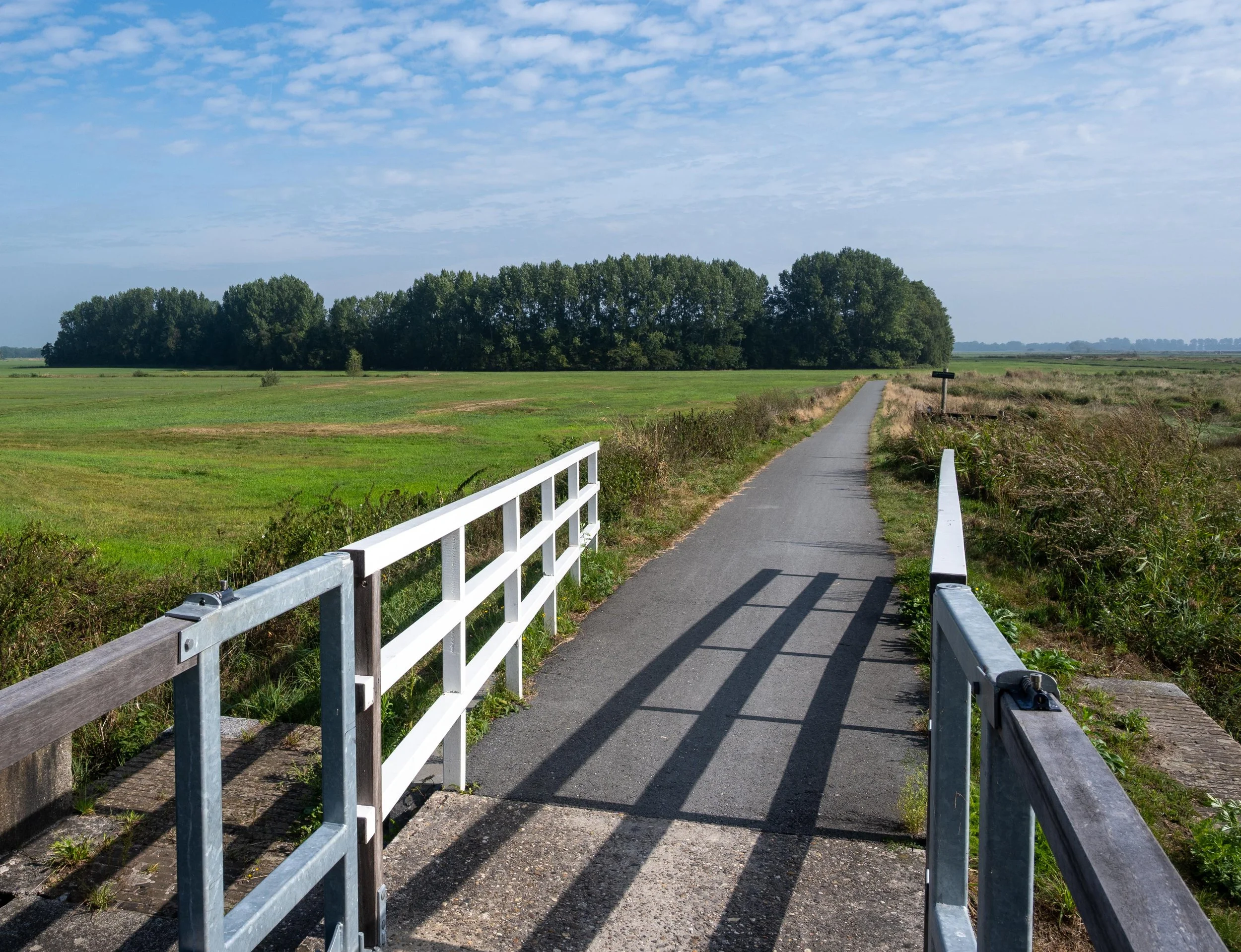 Bike path, Netherlands