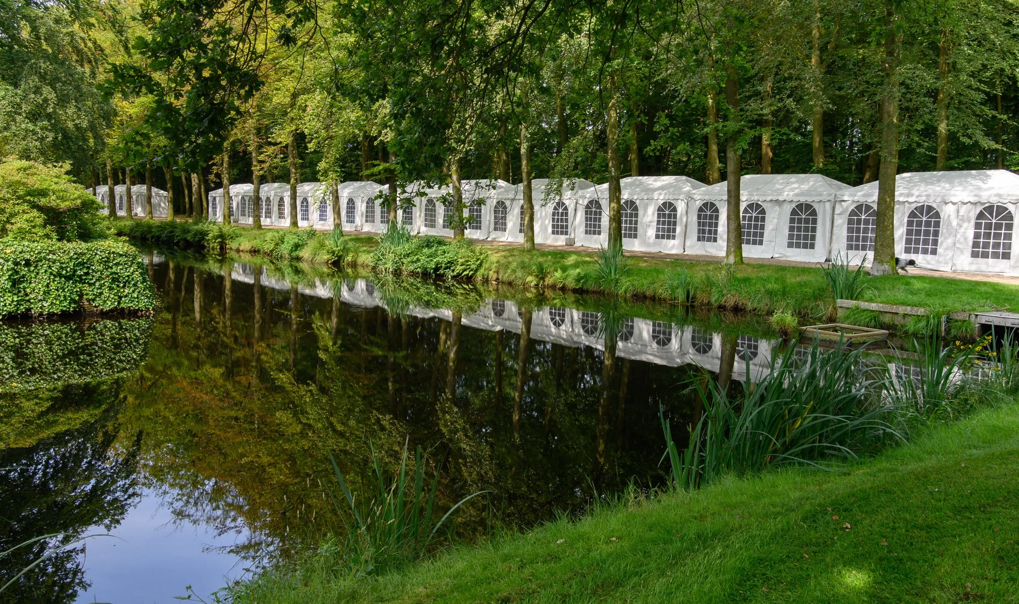 Reflections, Netherlands