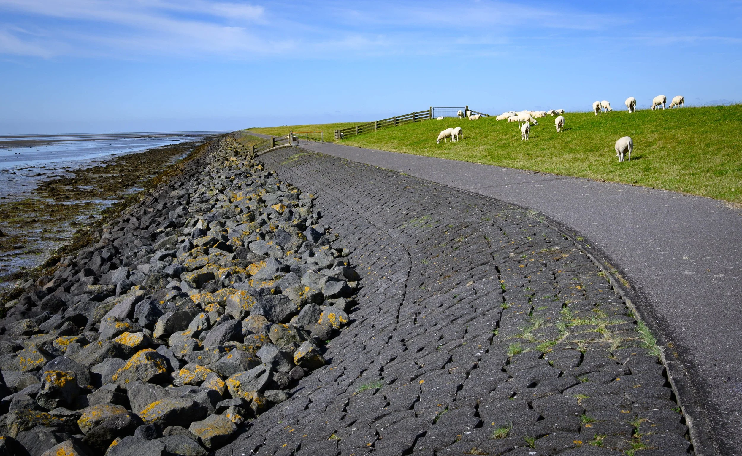 Bike path on dike, Terschelling,  Netherlands