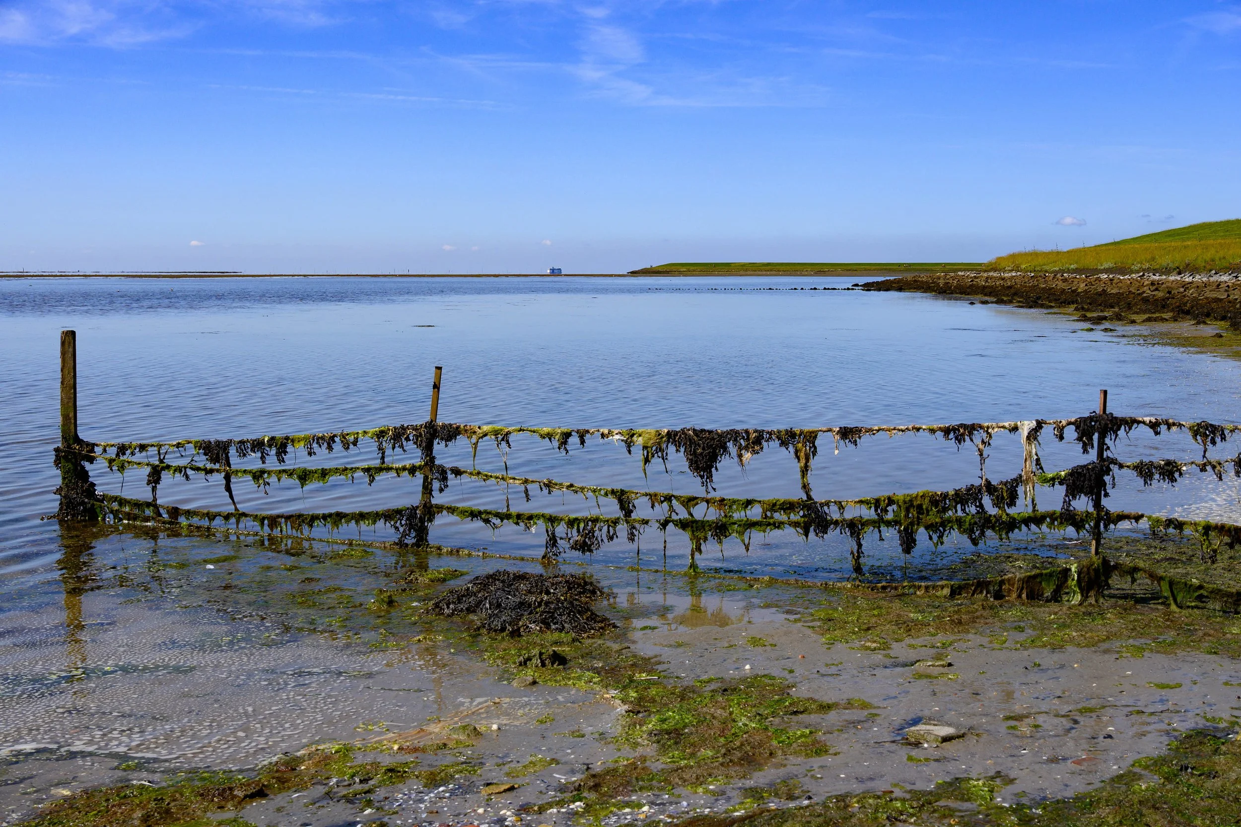 Tide flat, Terschelling, Netherlands