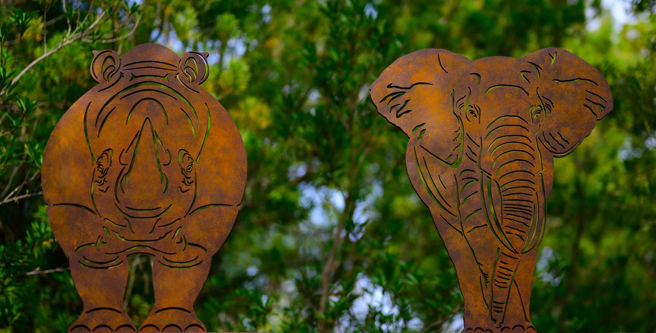 Silhouettes, Safari Park, San Diego, CA