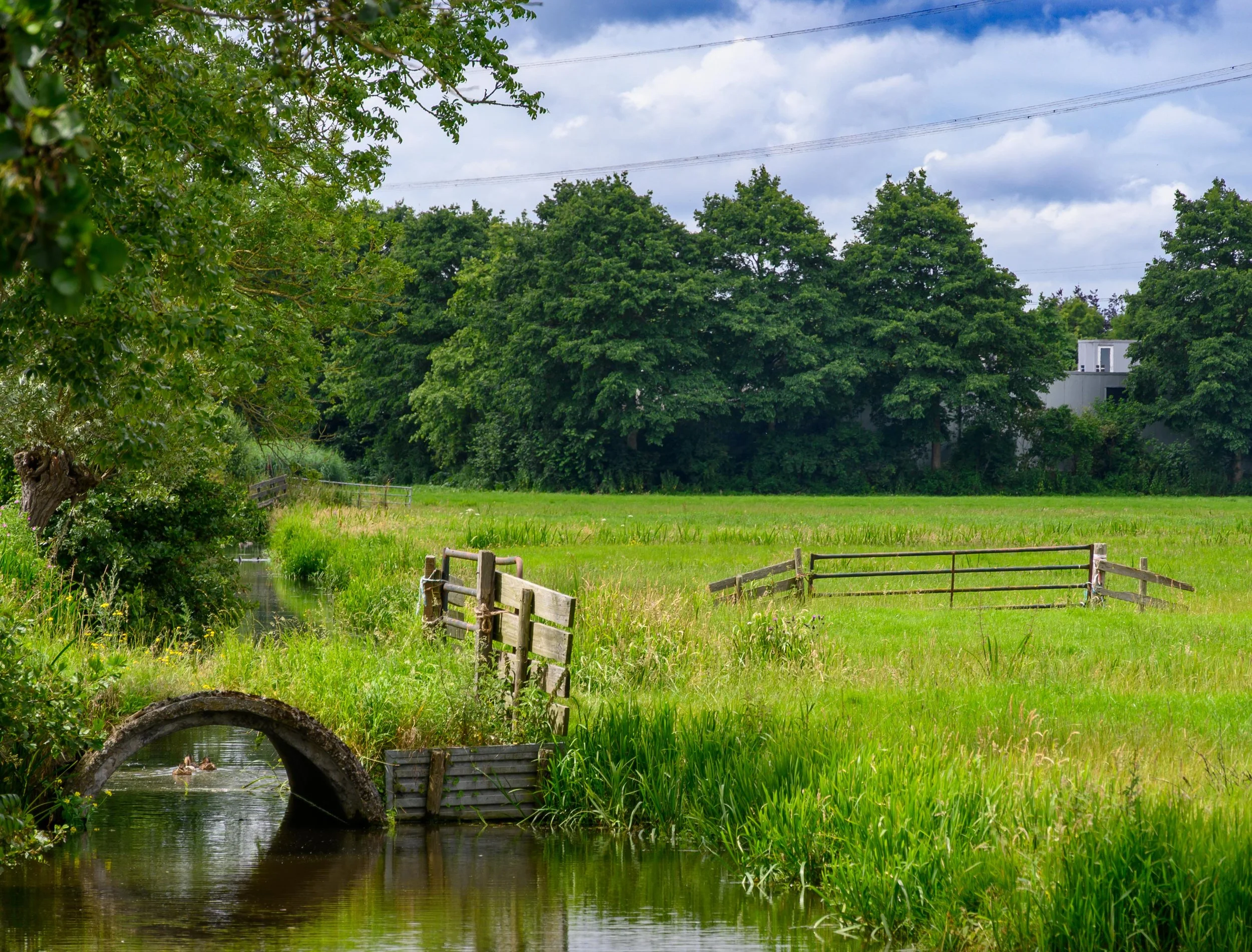 Farm field, Netherlands
