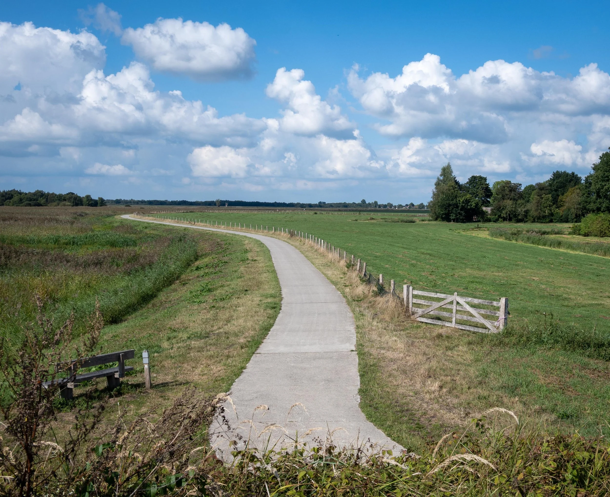Bike path, Netherlands