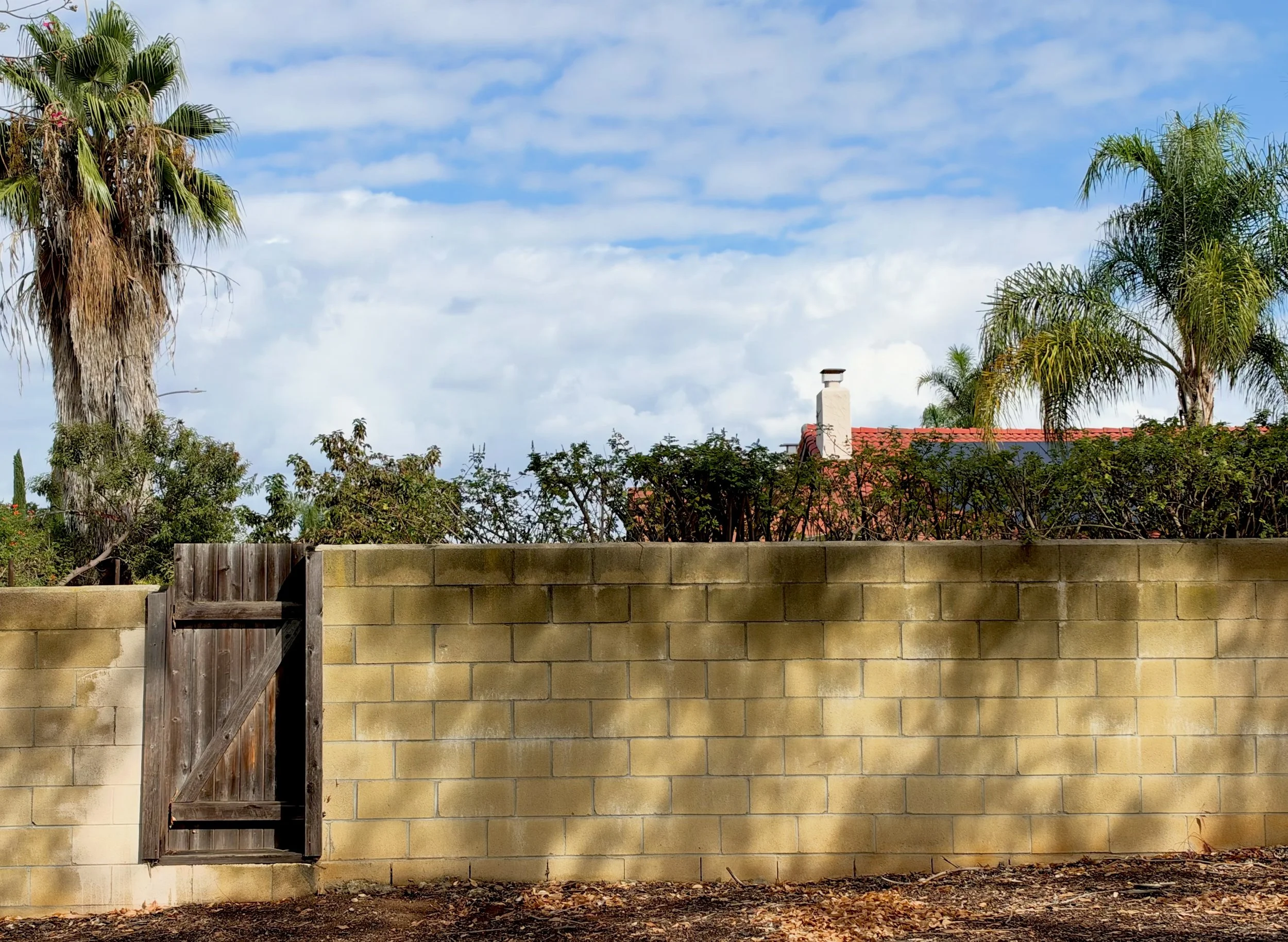 
Fence shadows