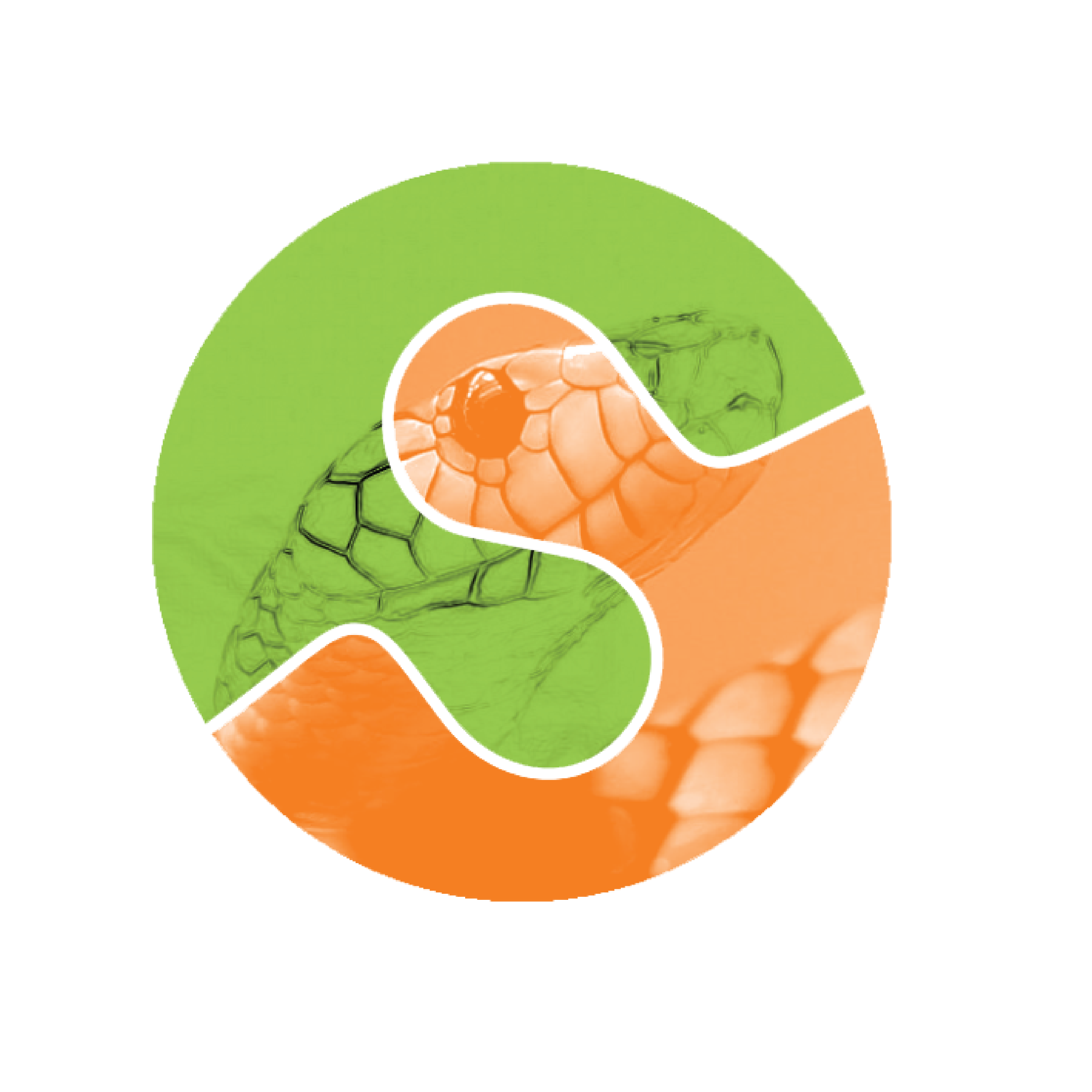 scikit@3x.png