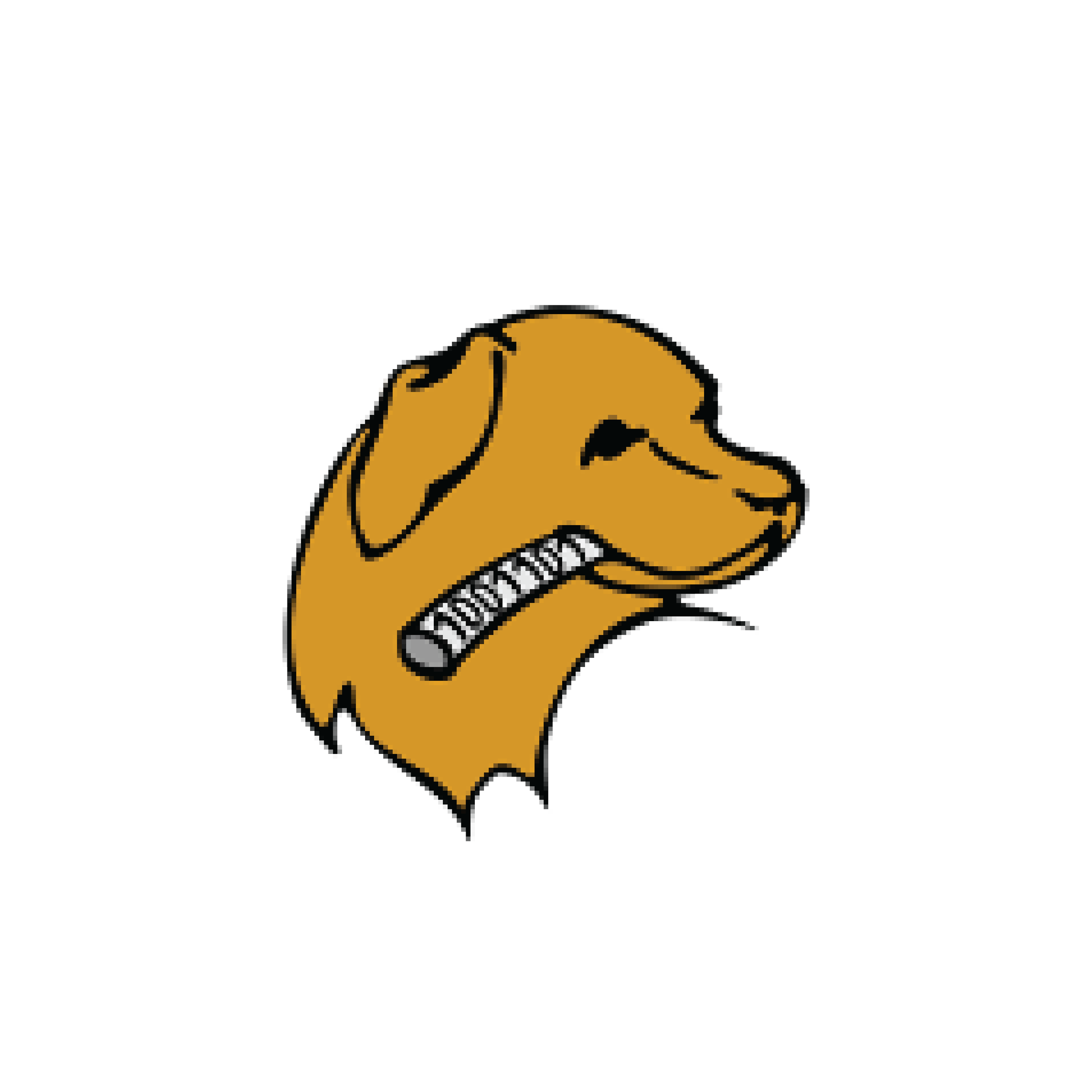 data retreiver@3x.png
